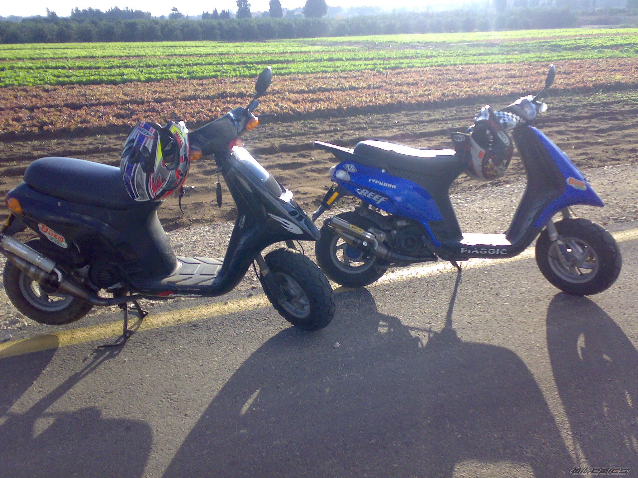 Photo 1095076