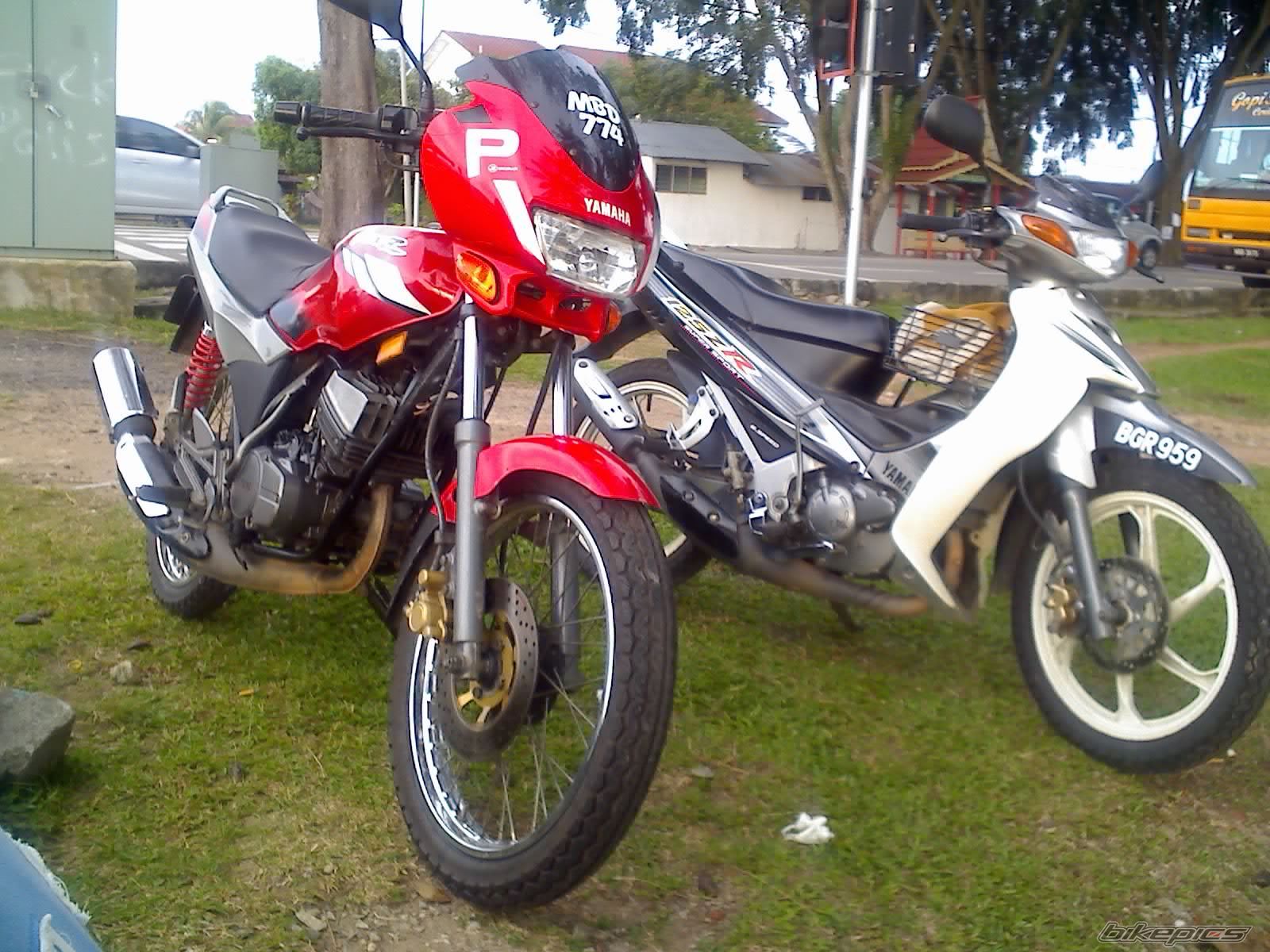 Photo 1095237