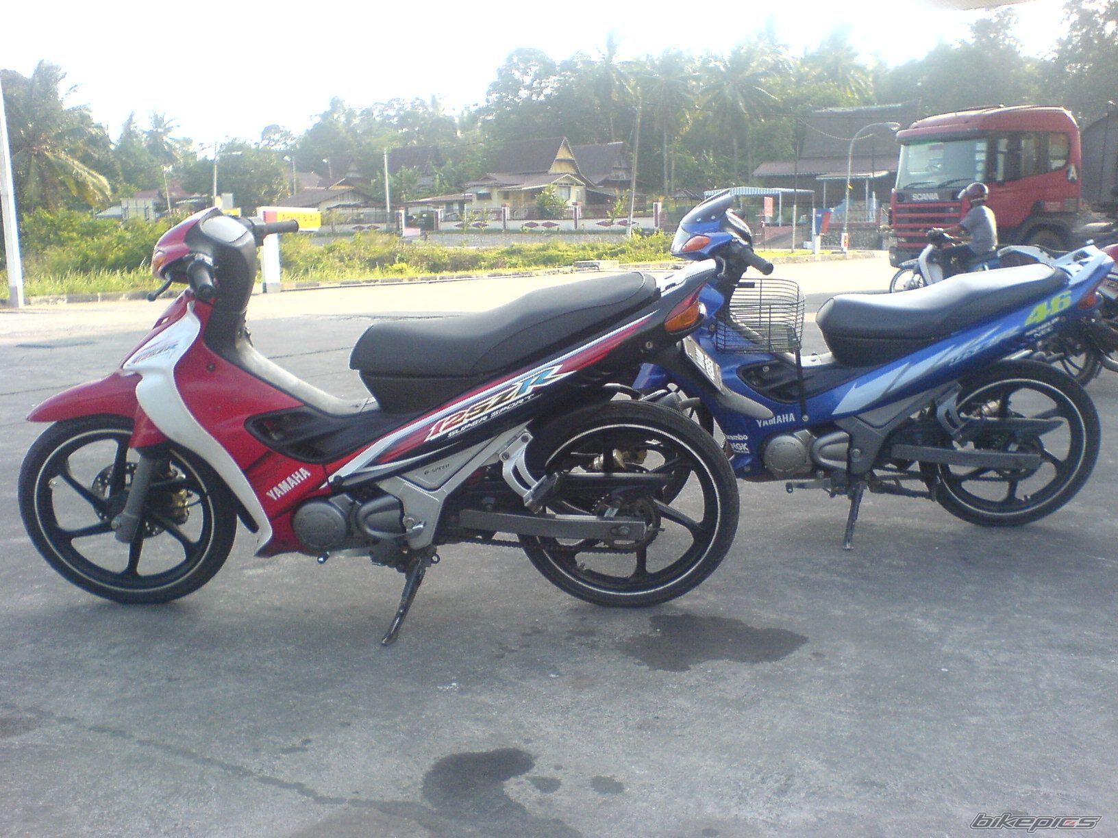 Photo 1095238