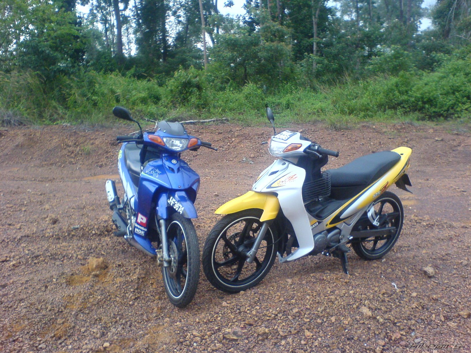 Photo 1095239
