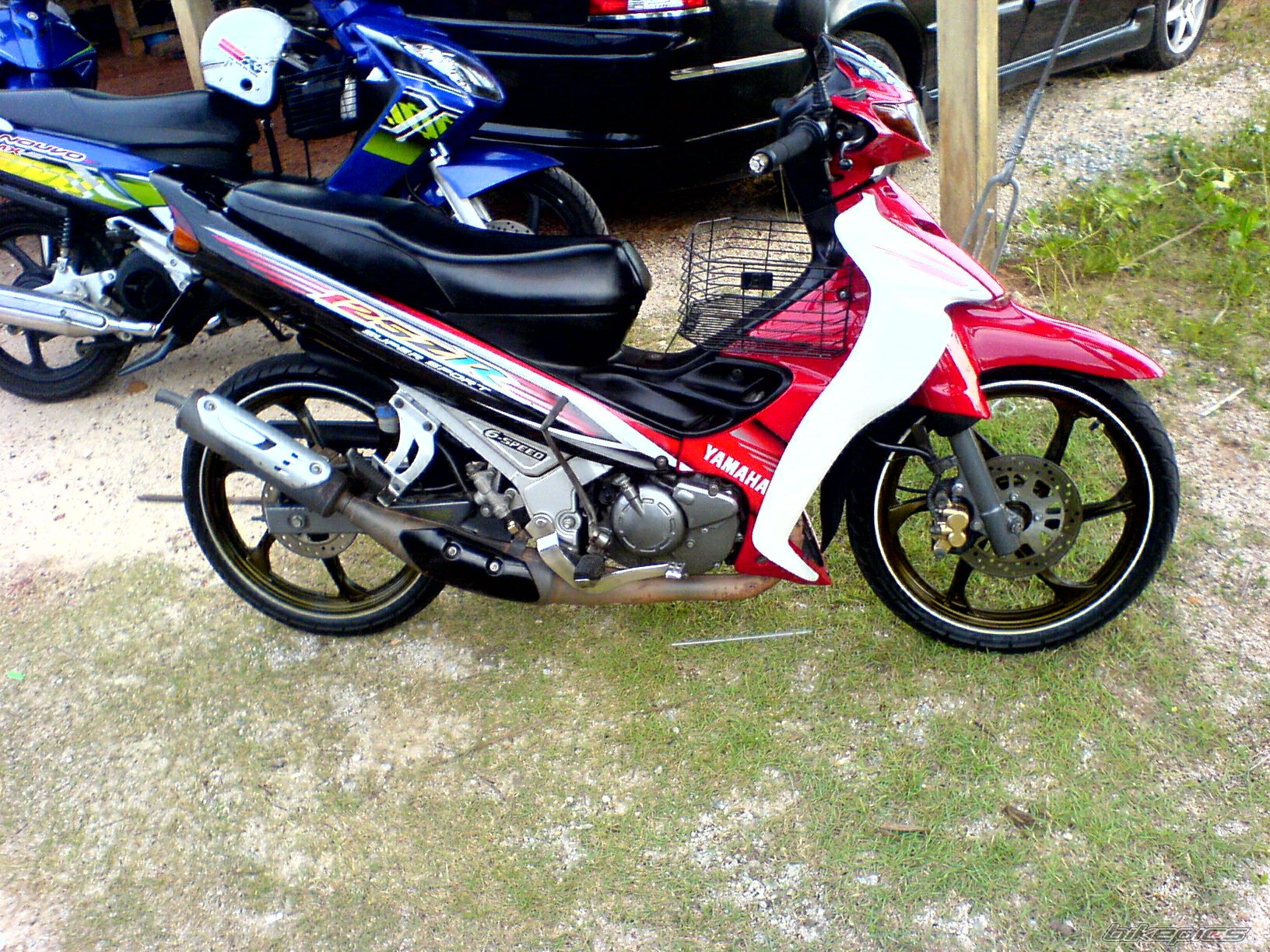 Photo 1095240