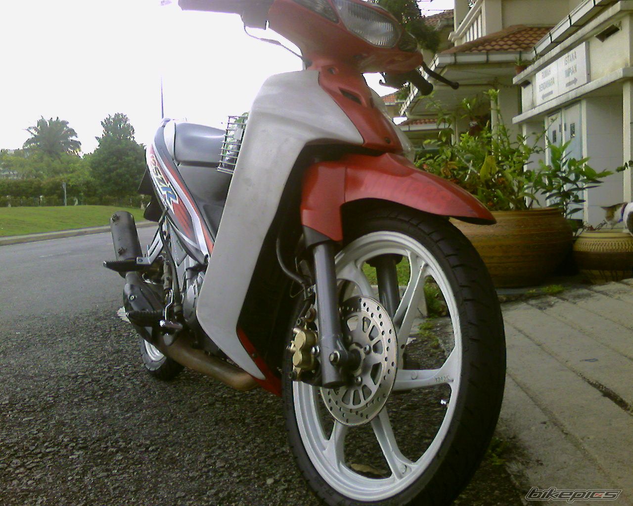 Photo 1095241