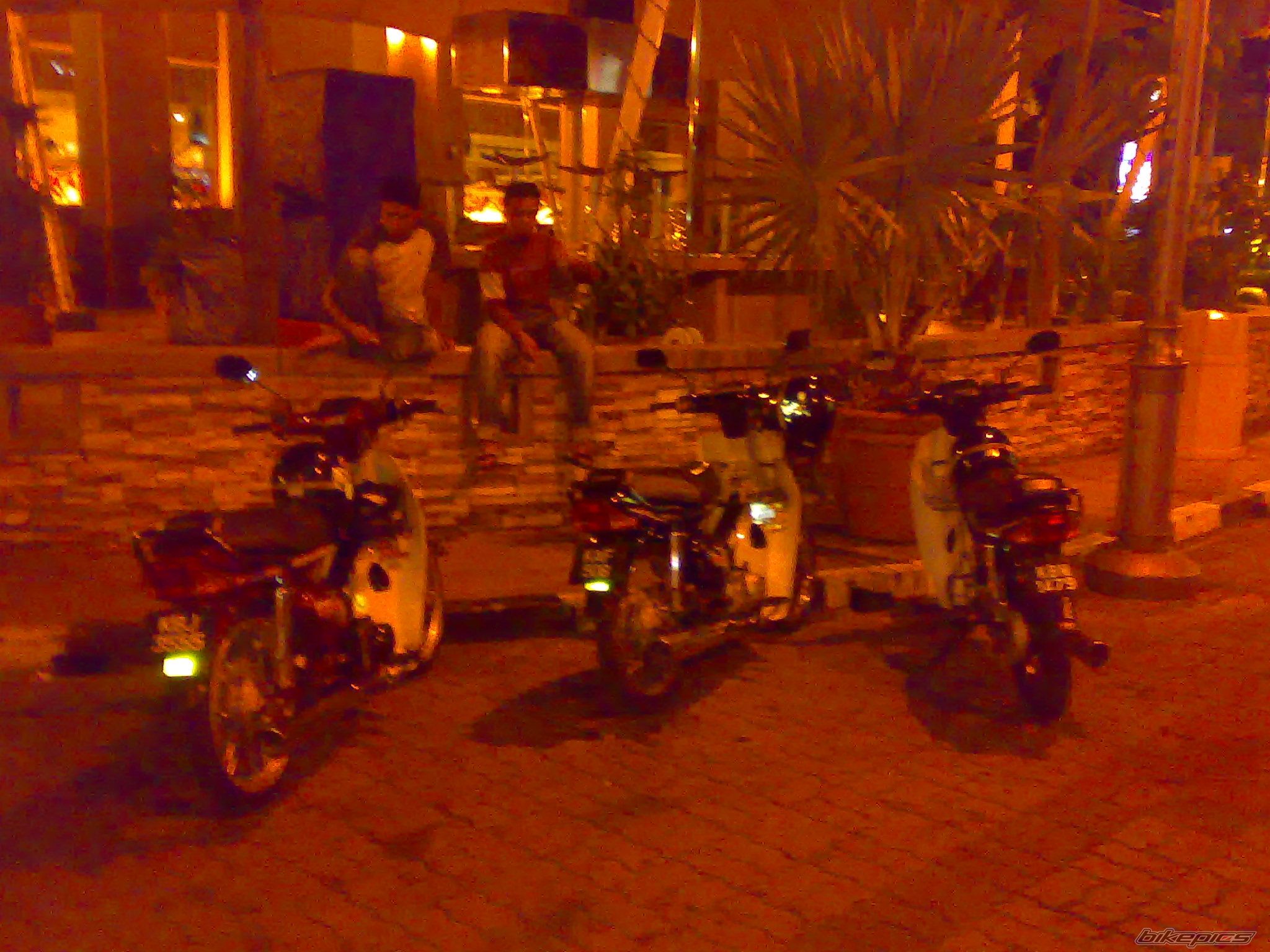 Photo 1095252