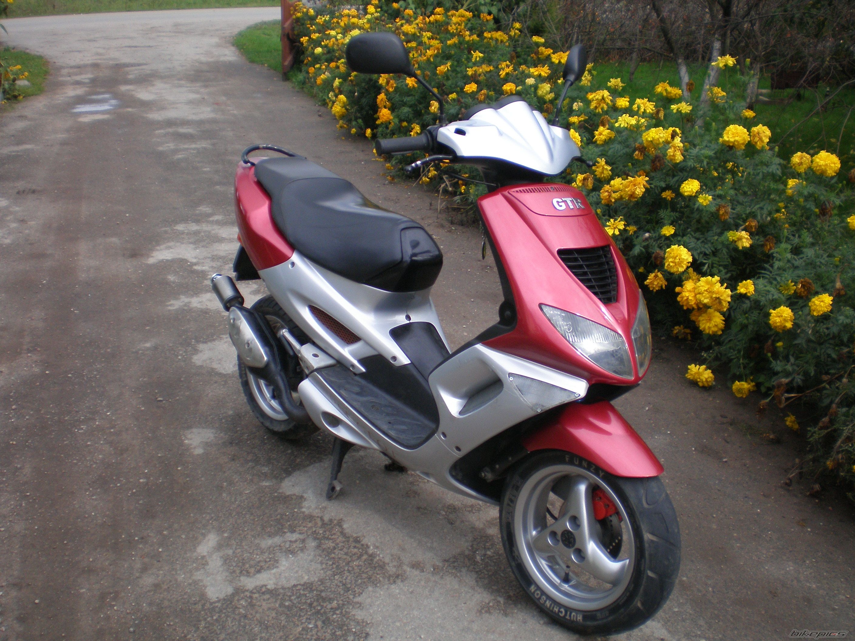 Photo 1095313