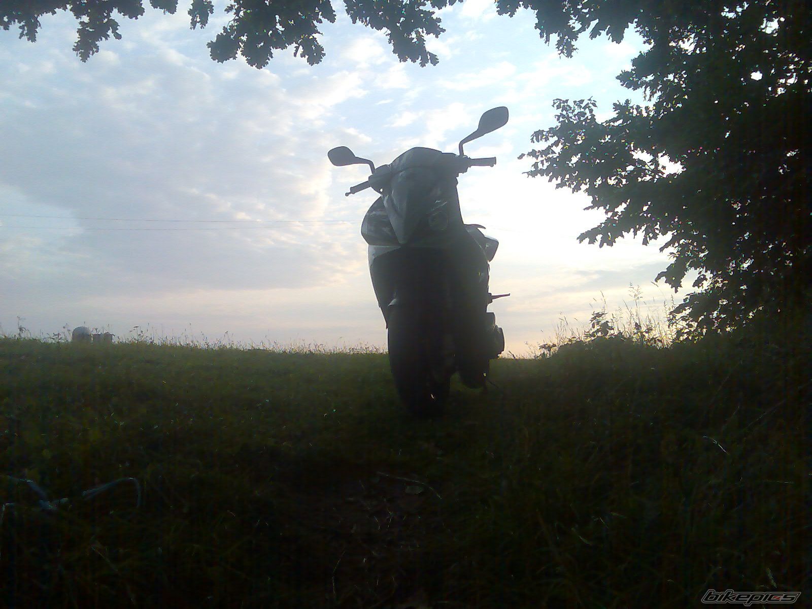 Photo 1095338