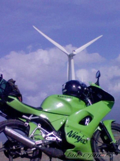 Photo 1095453