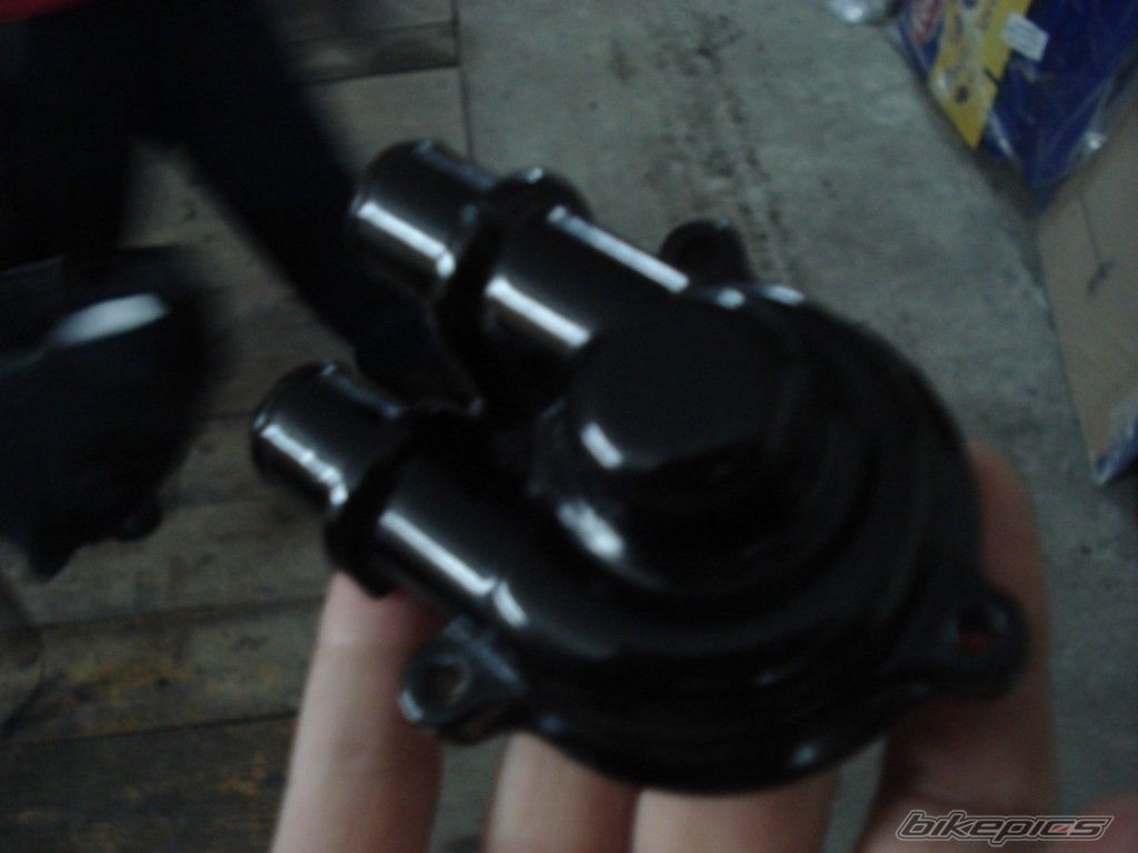 Photo 1095524