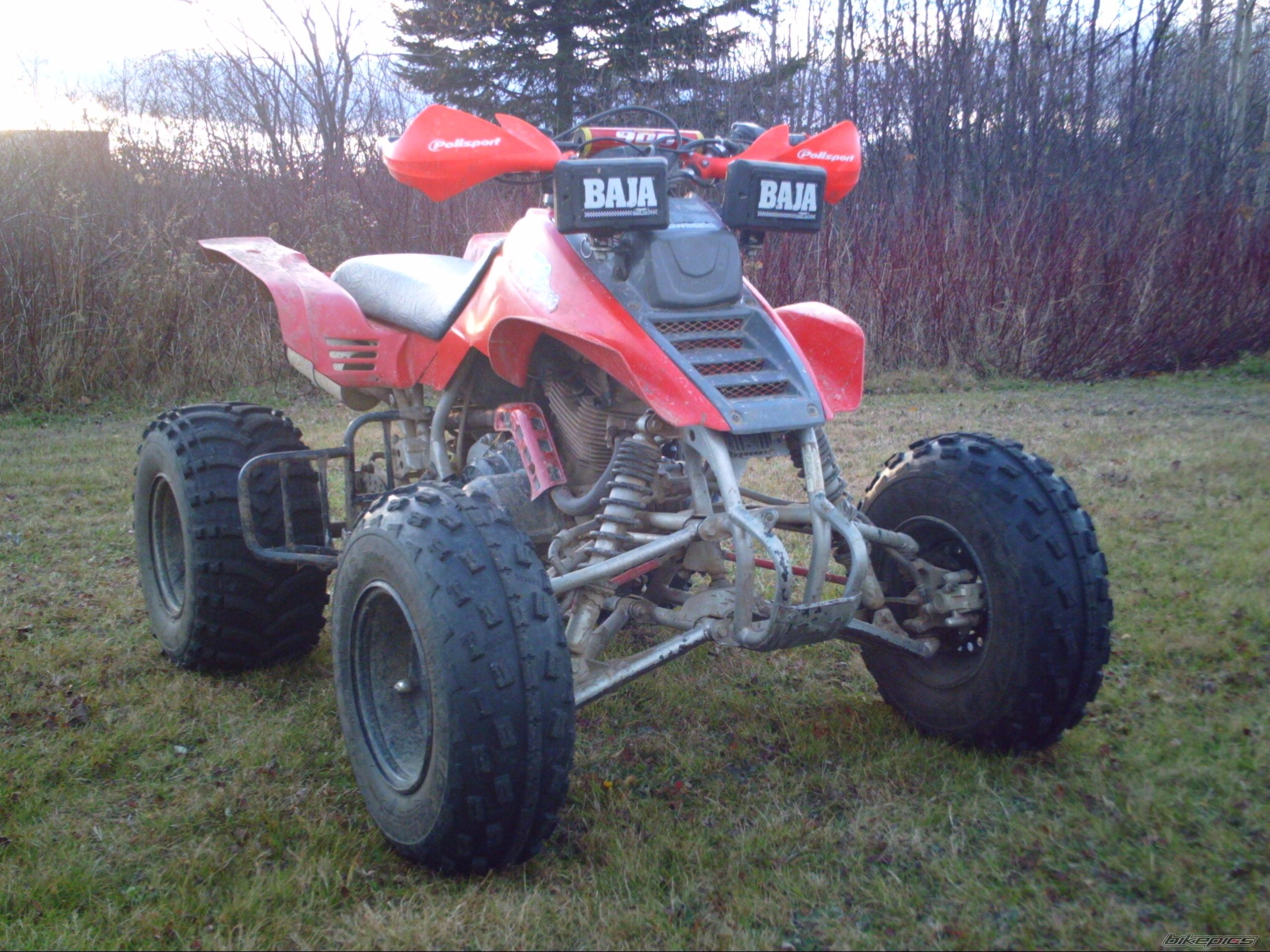 Photo 1095594