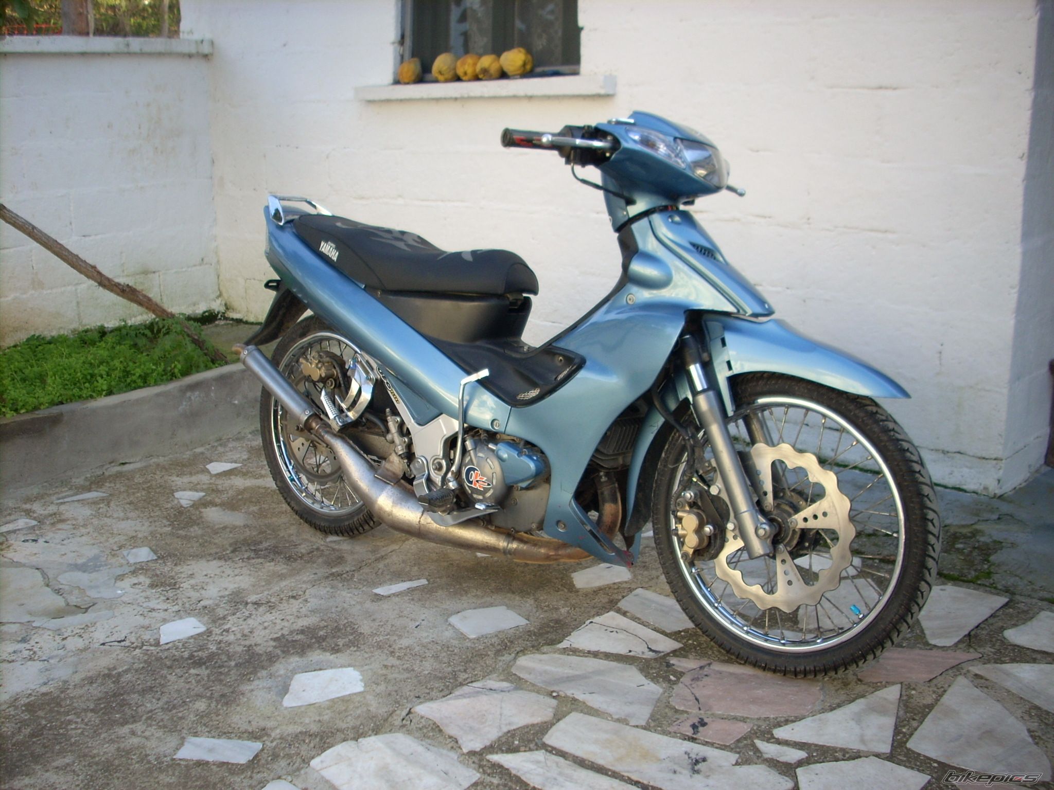 Photo 1095744