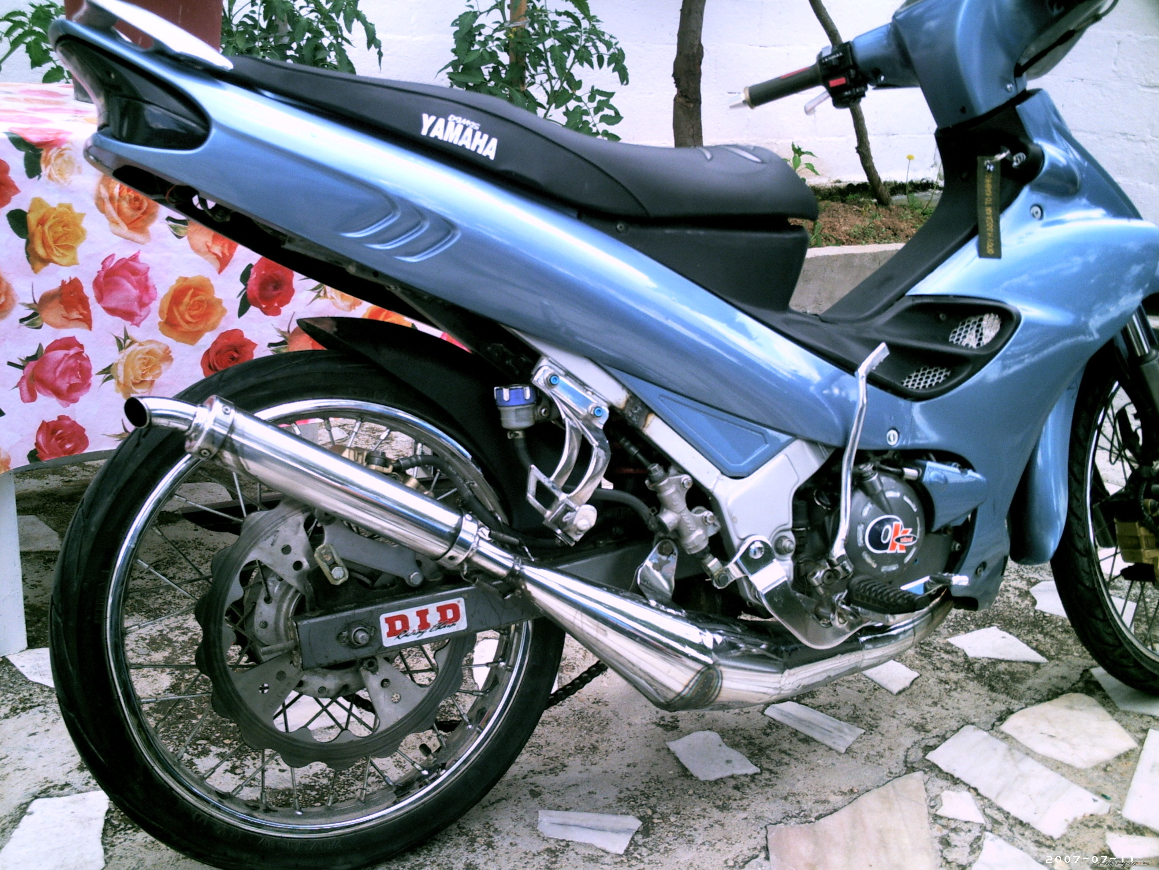 Photo 1095755