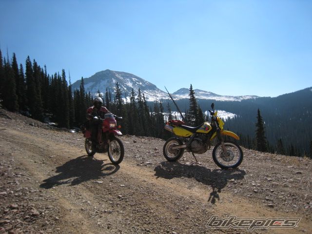 Photo 1095930