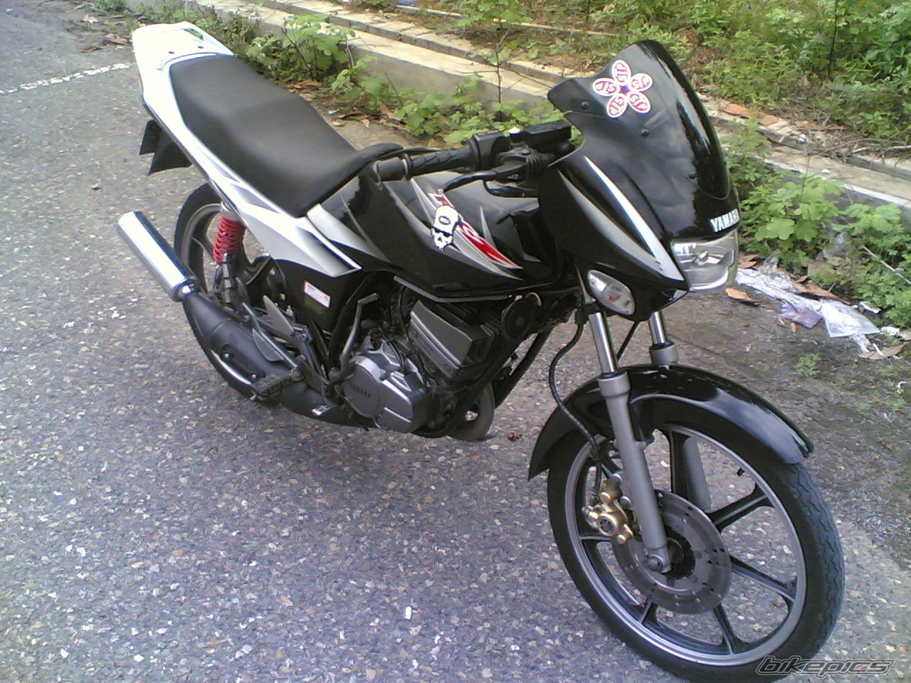 Photo 1096020