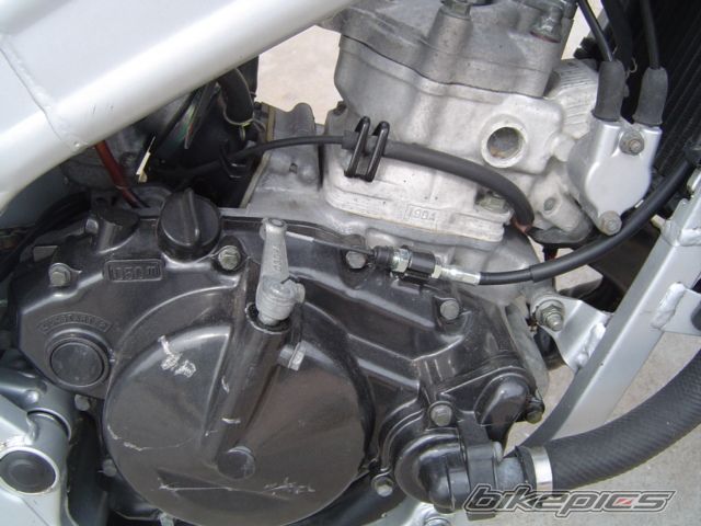 Photo 1096042