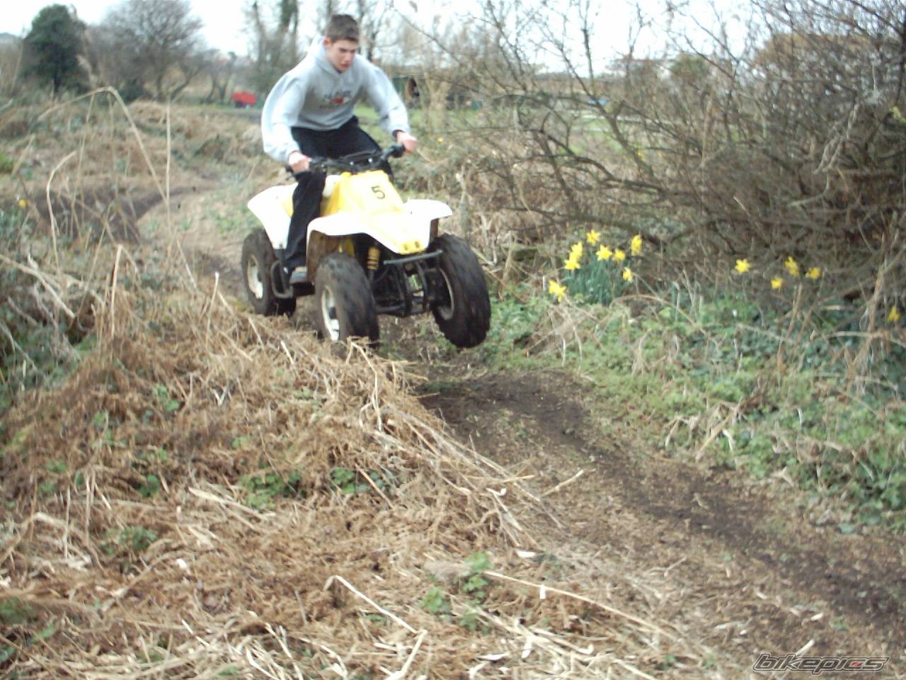 Photo 109671