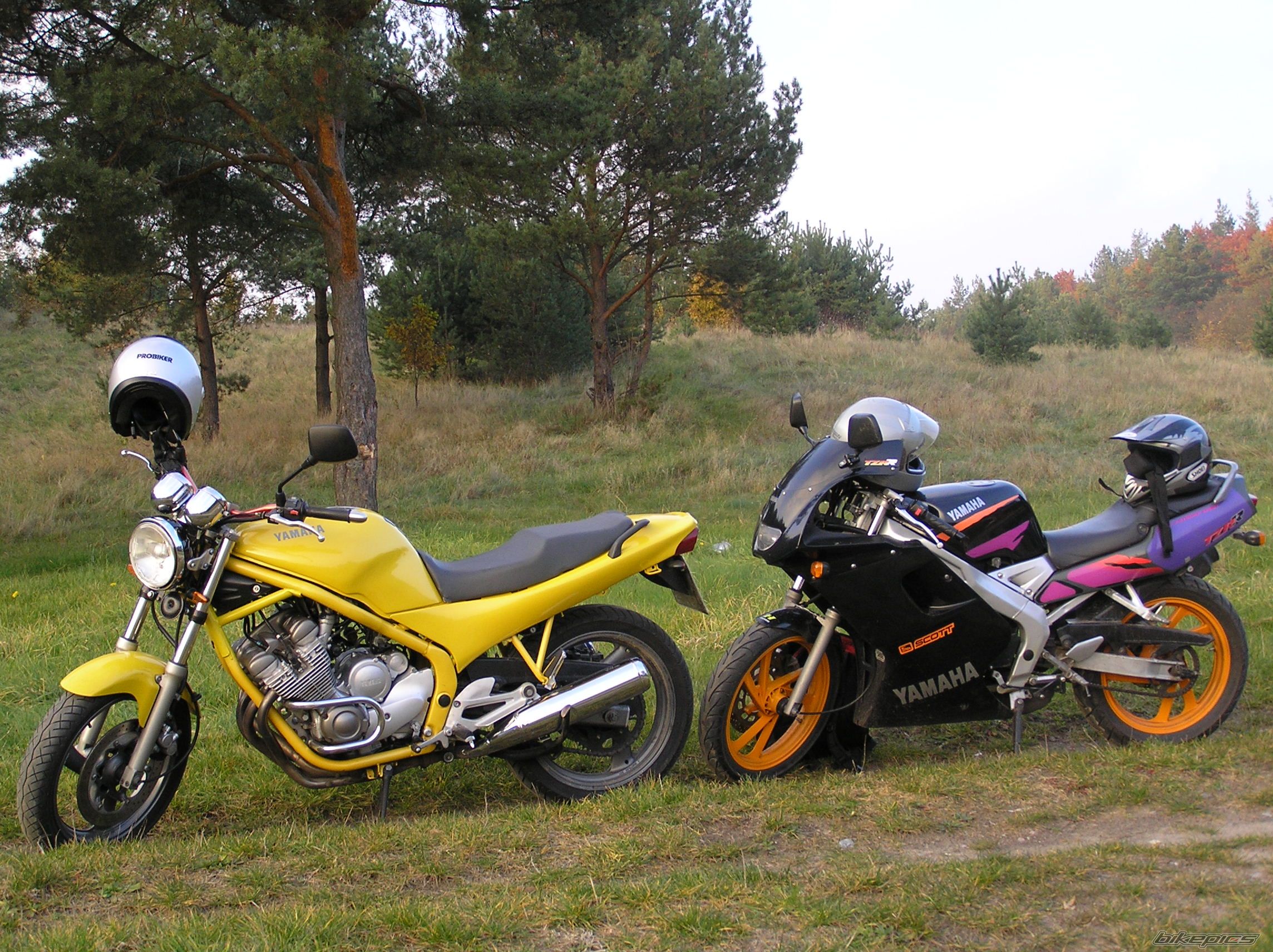 Bike Photo 1096851