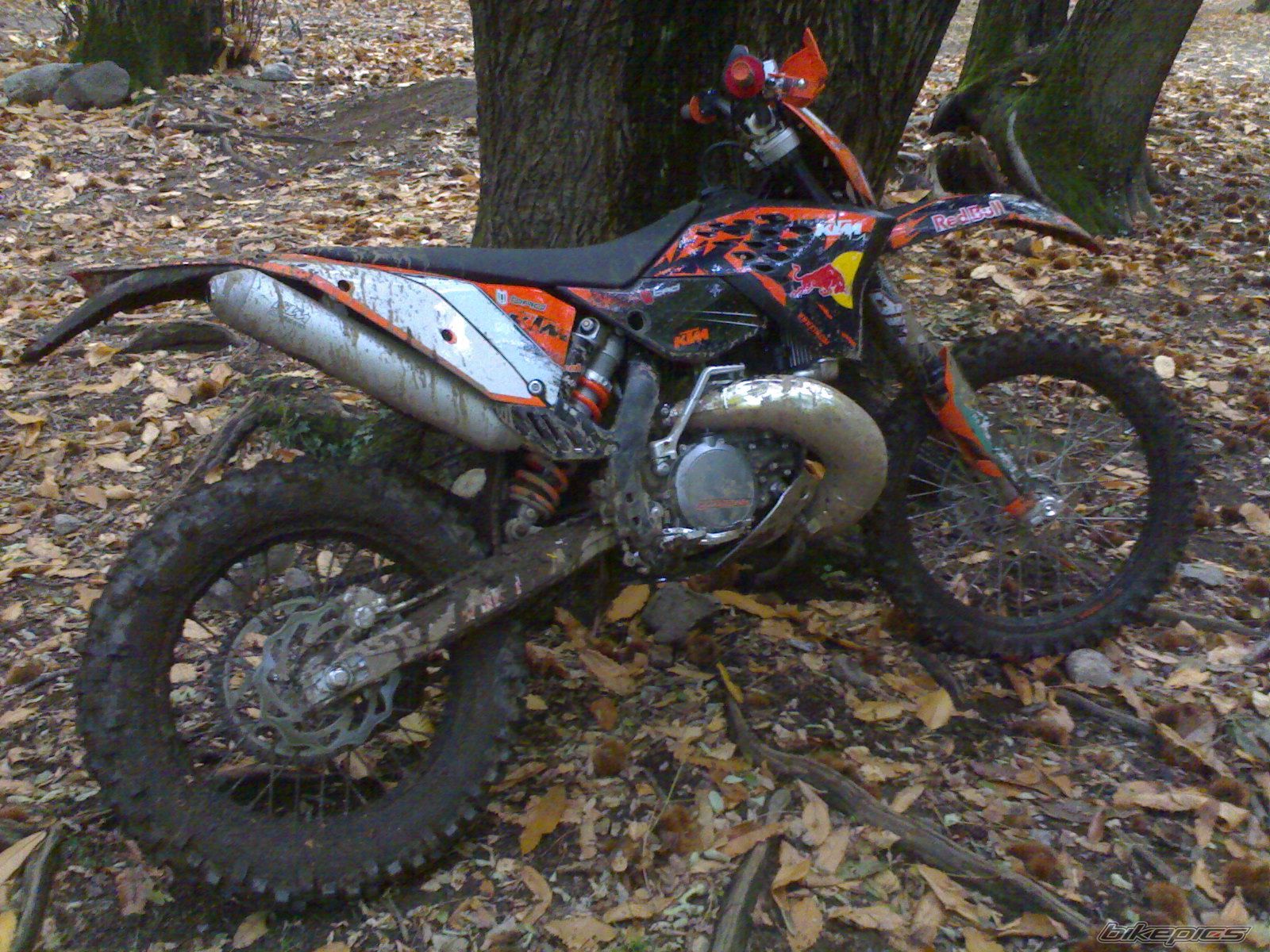 Photo 1096898
