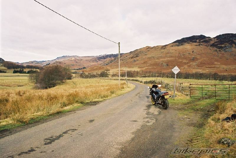Photo 109698