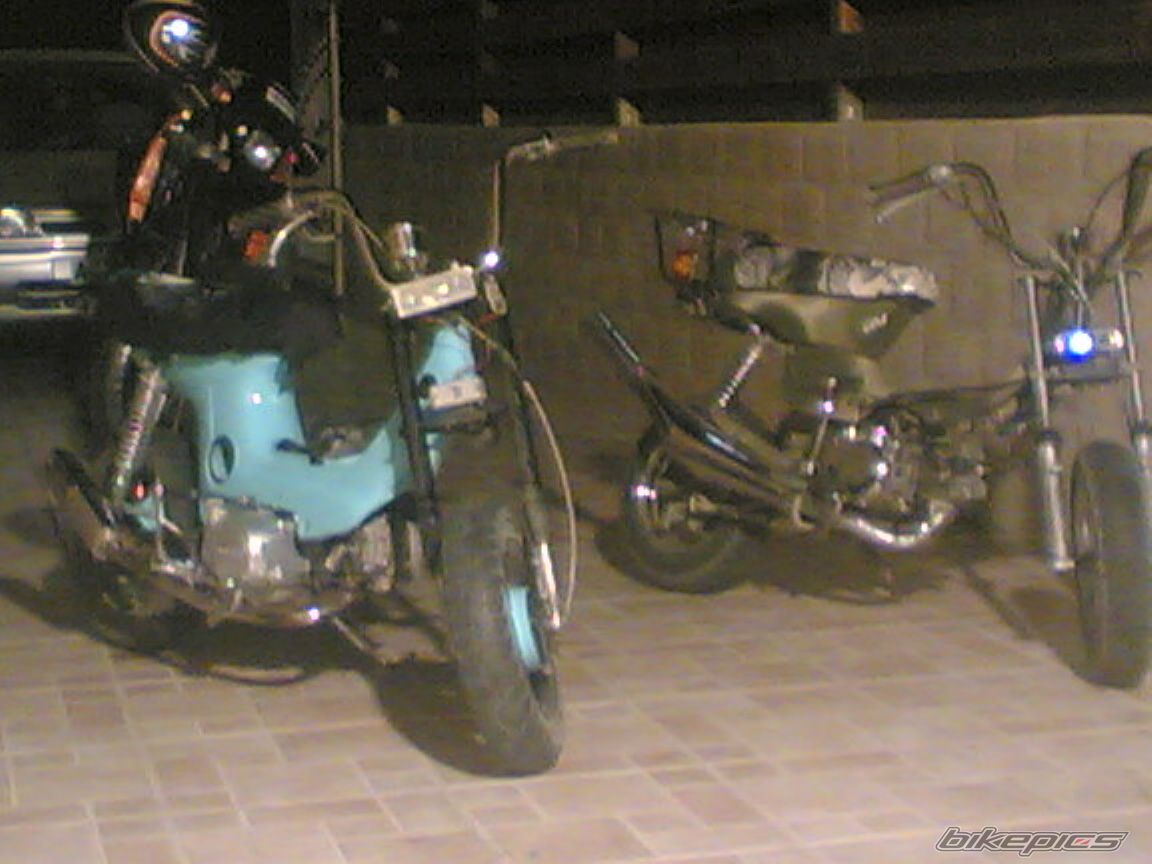 Photo 1097267