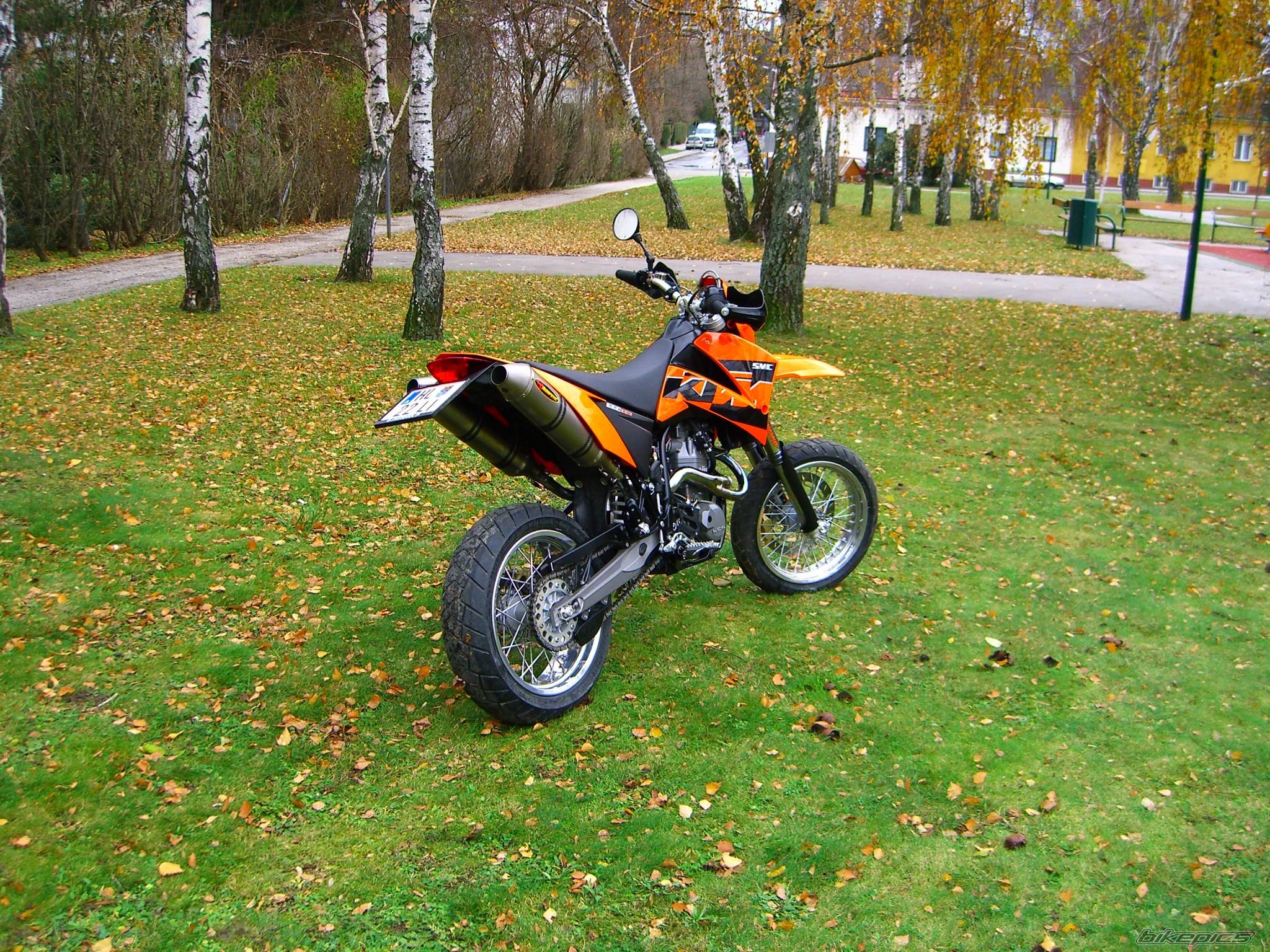 Photo 1097279