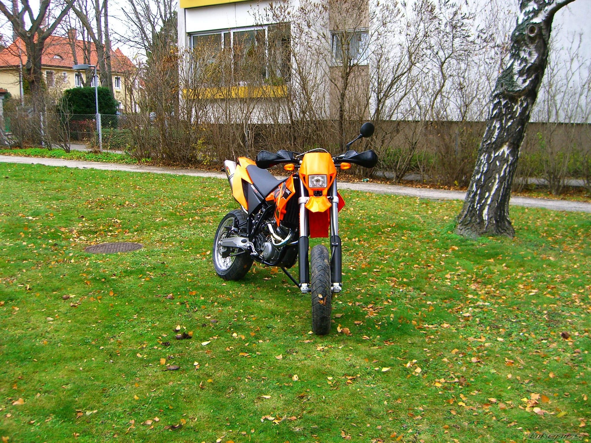 Photo 1097282