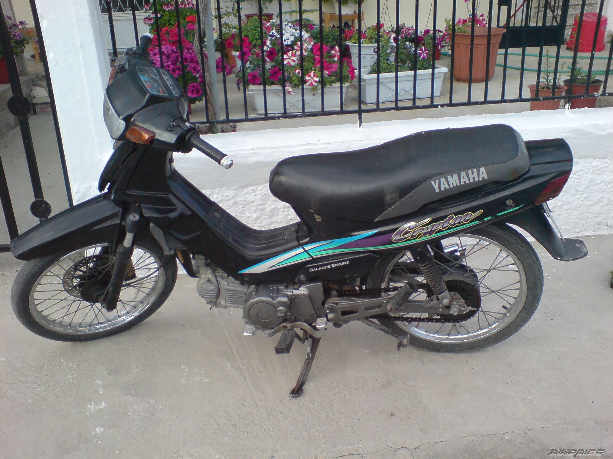 Photo 1097353
