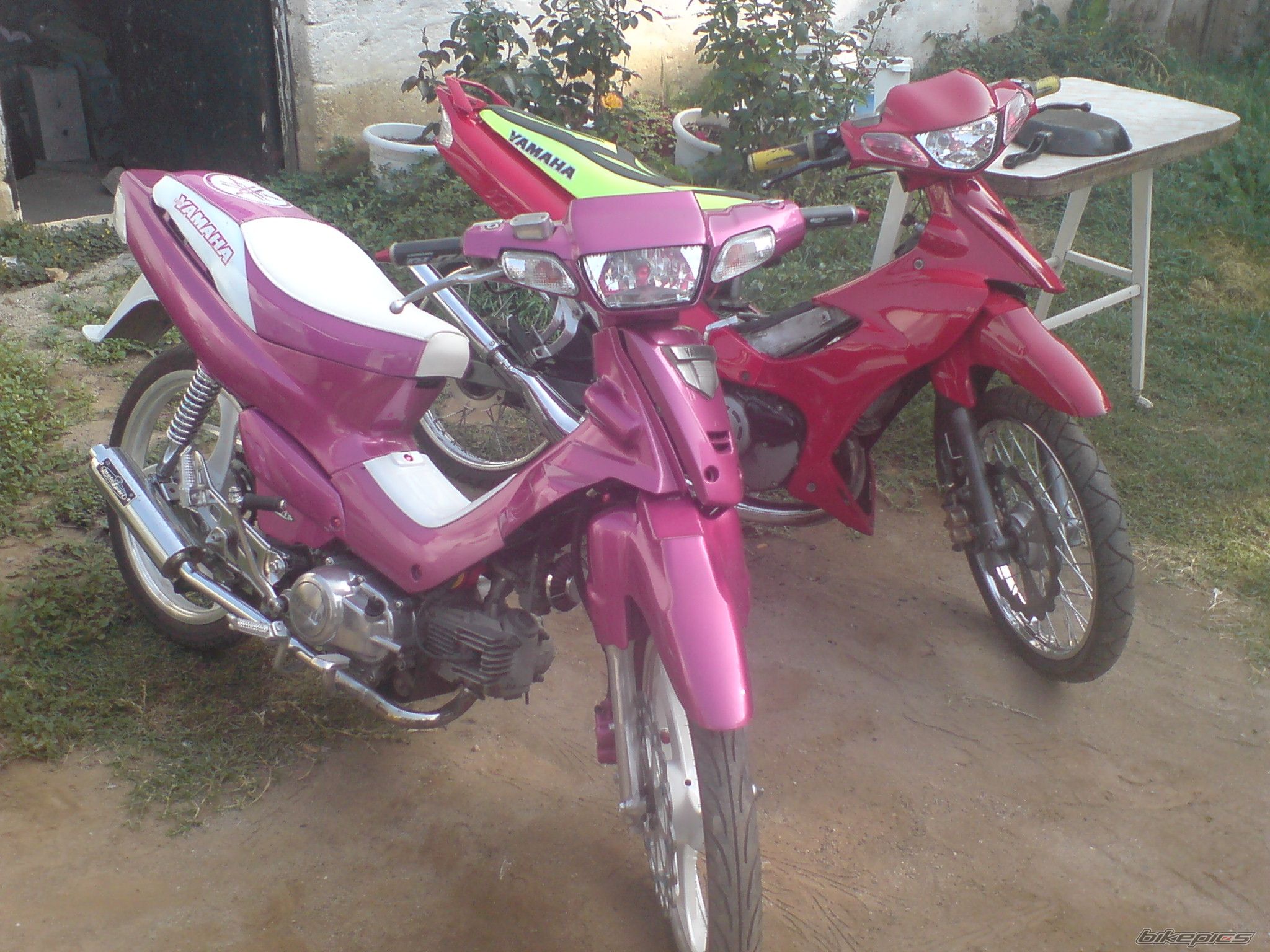 Photo 1097363