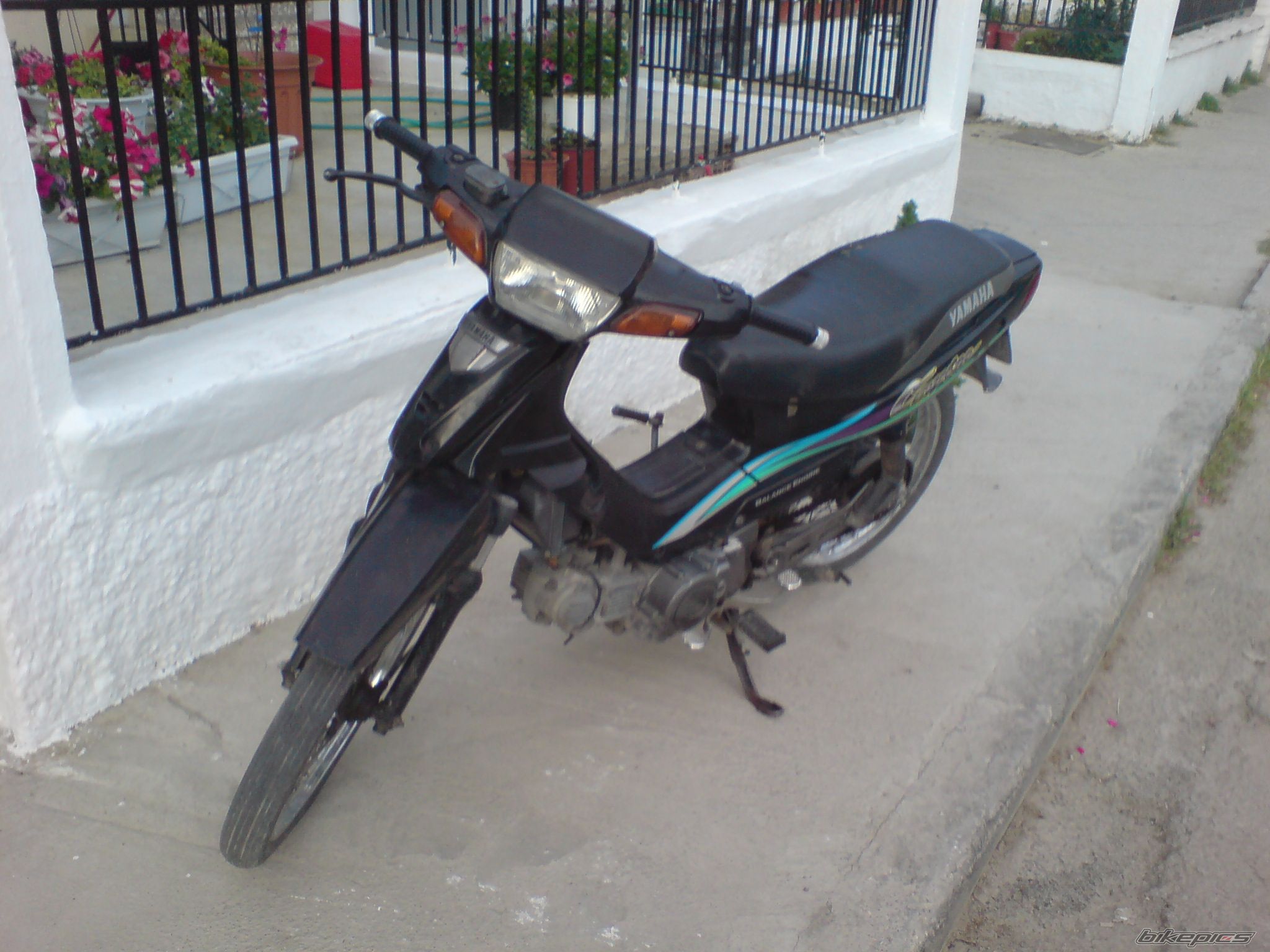 Photo 1097365