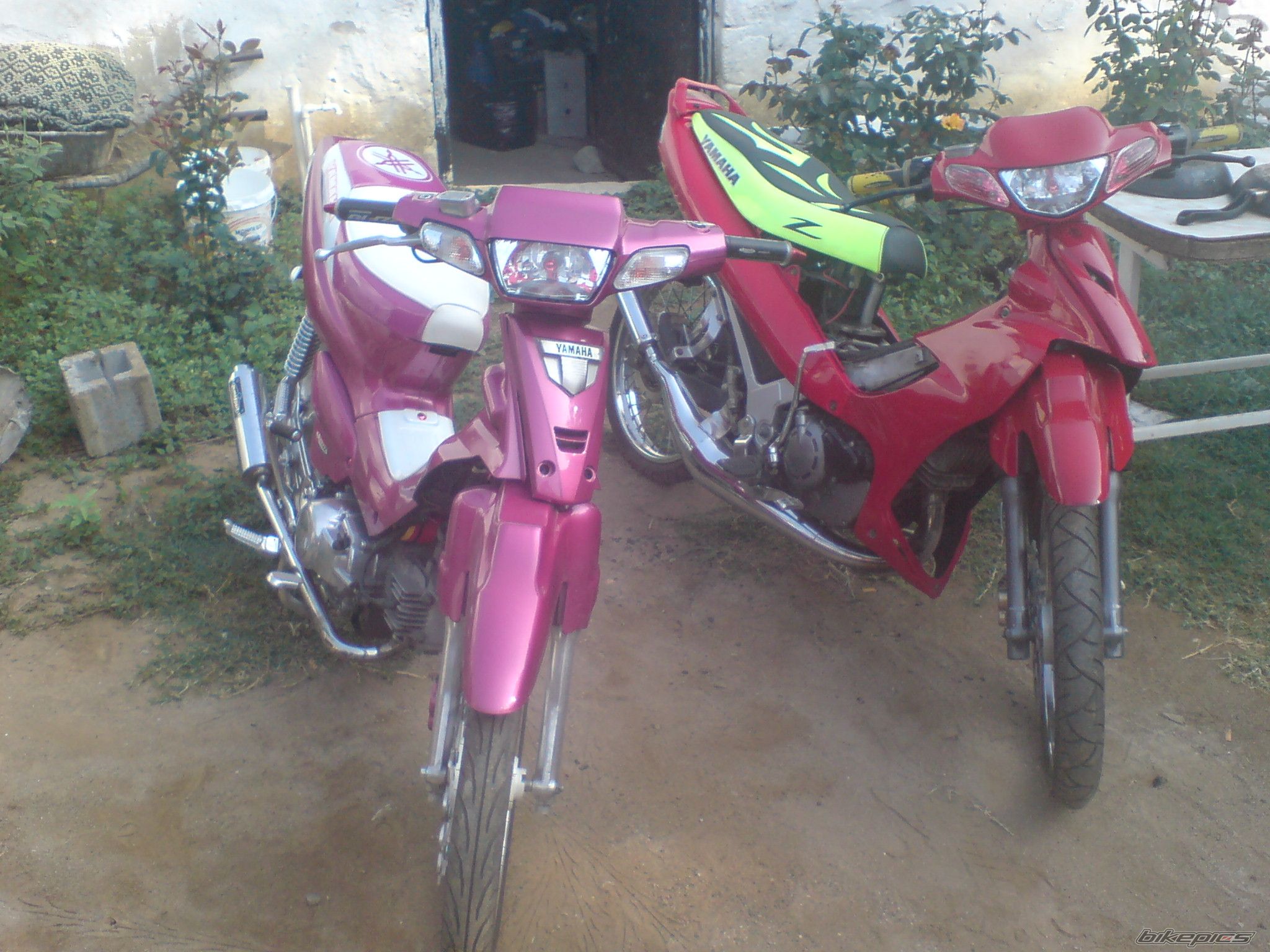 Photo 1097371