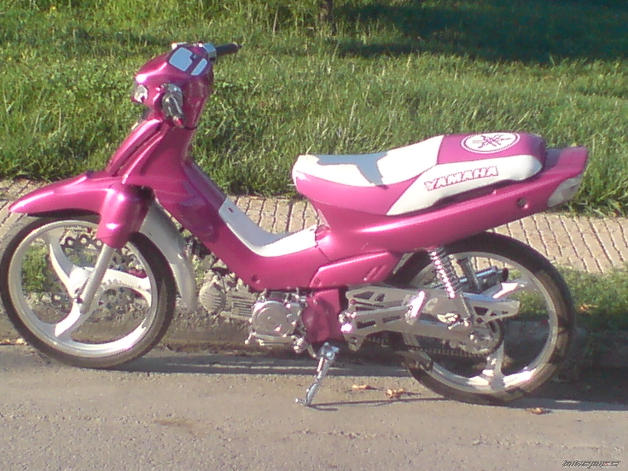 Photo 1097385
