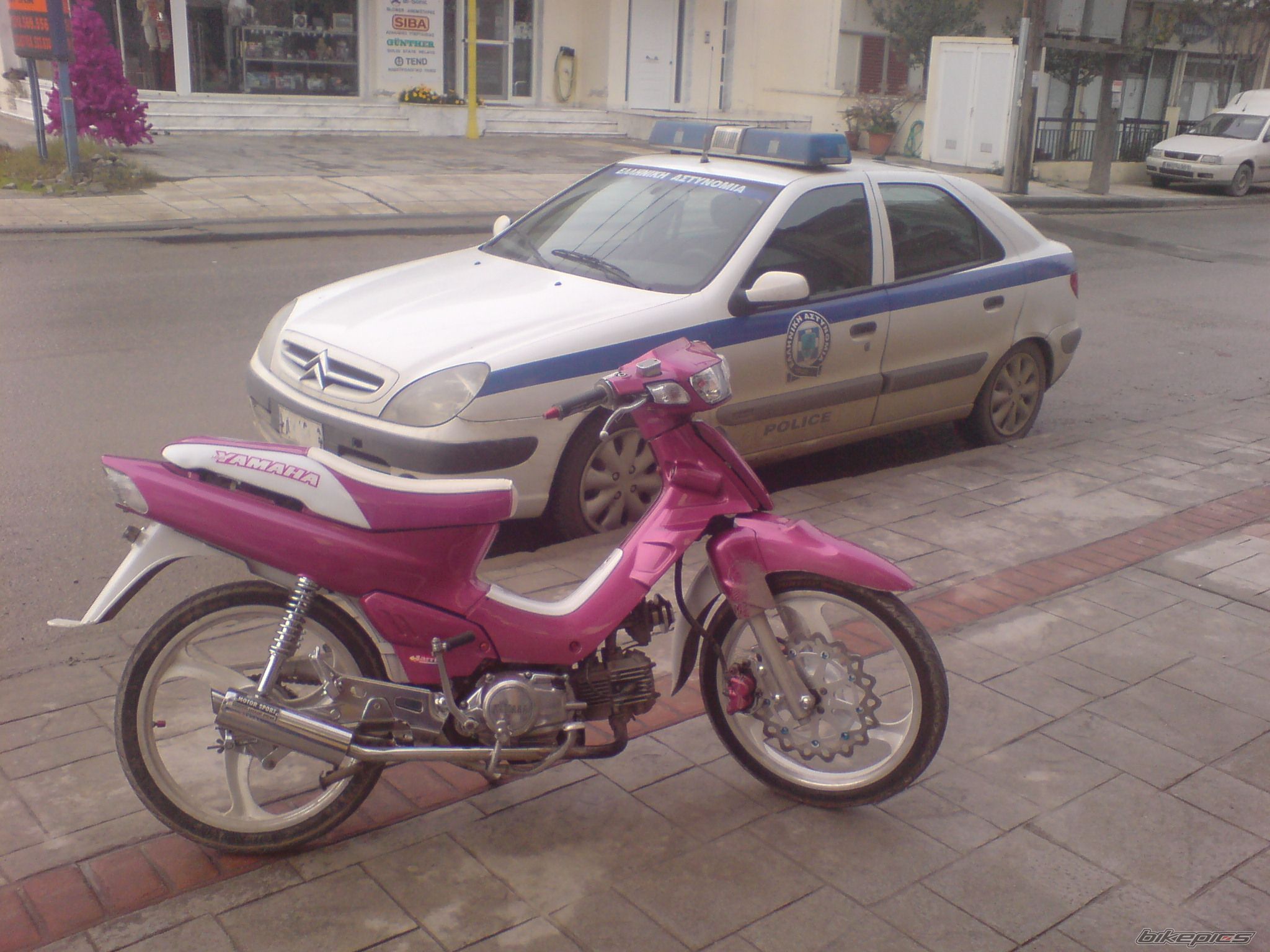 Photo 1097388