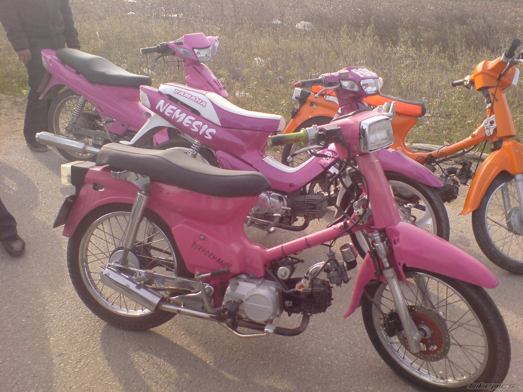 Photo 1097392