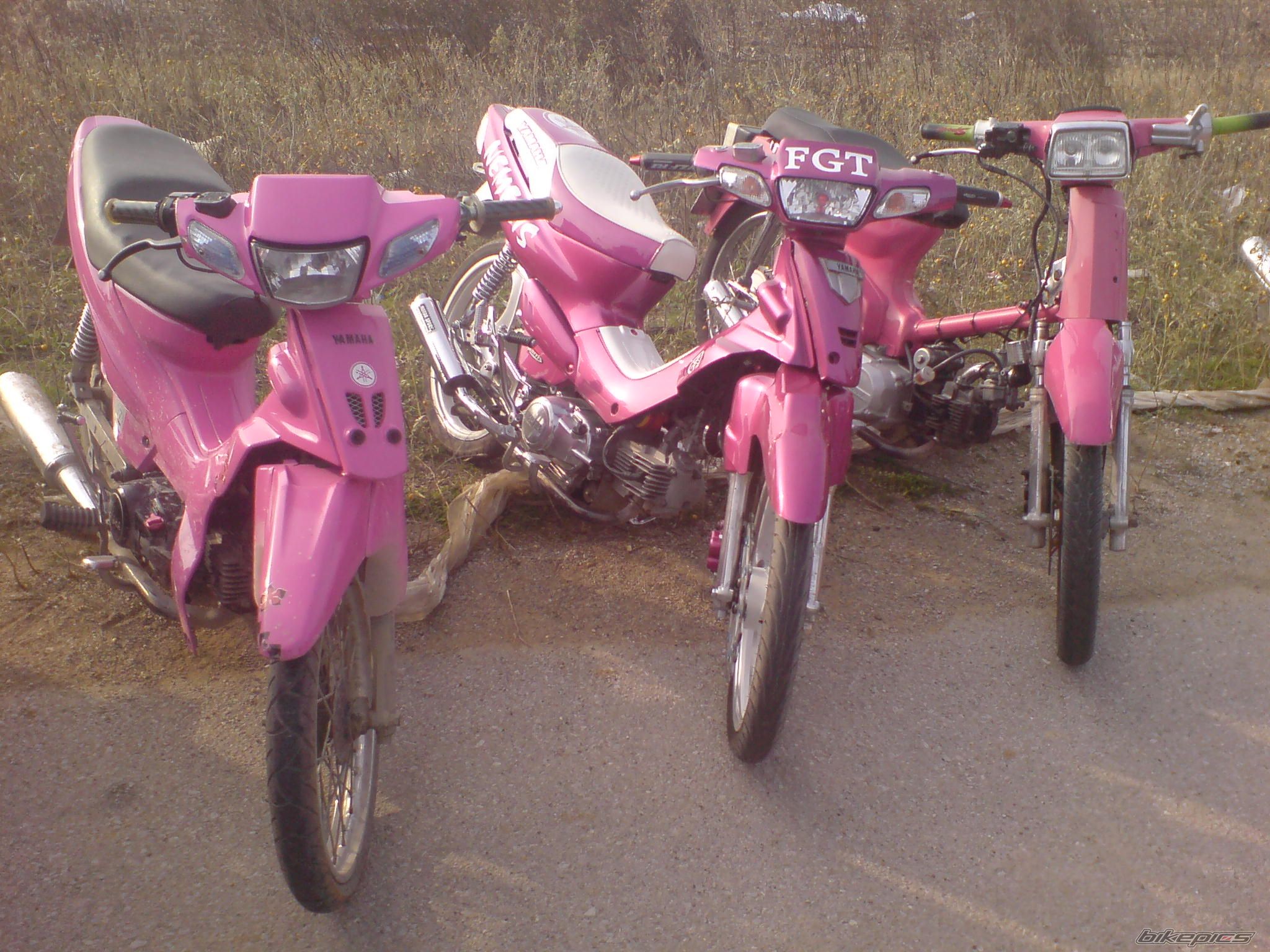 Photo 1097394