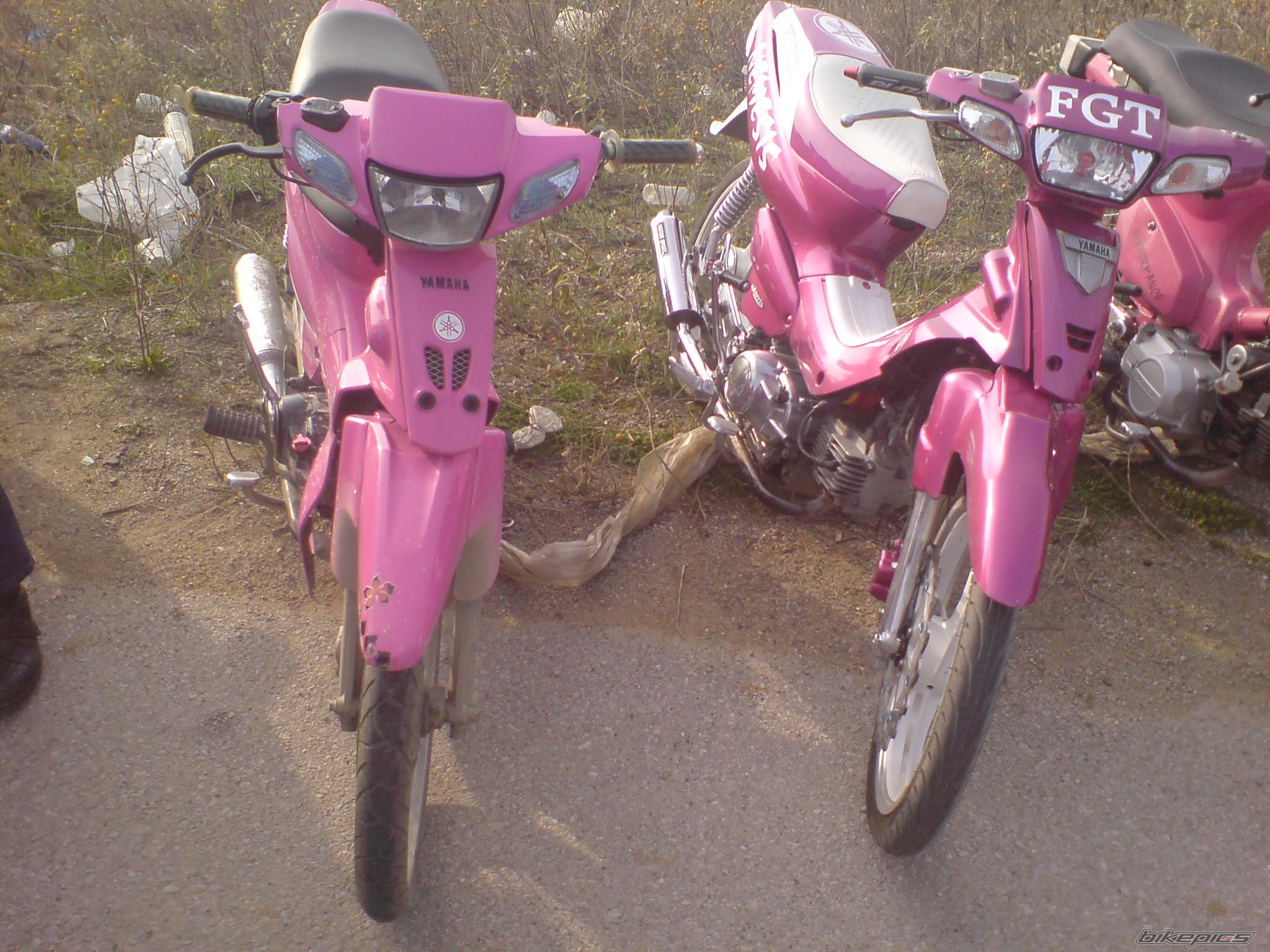 Photo 1097395