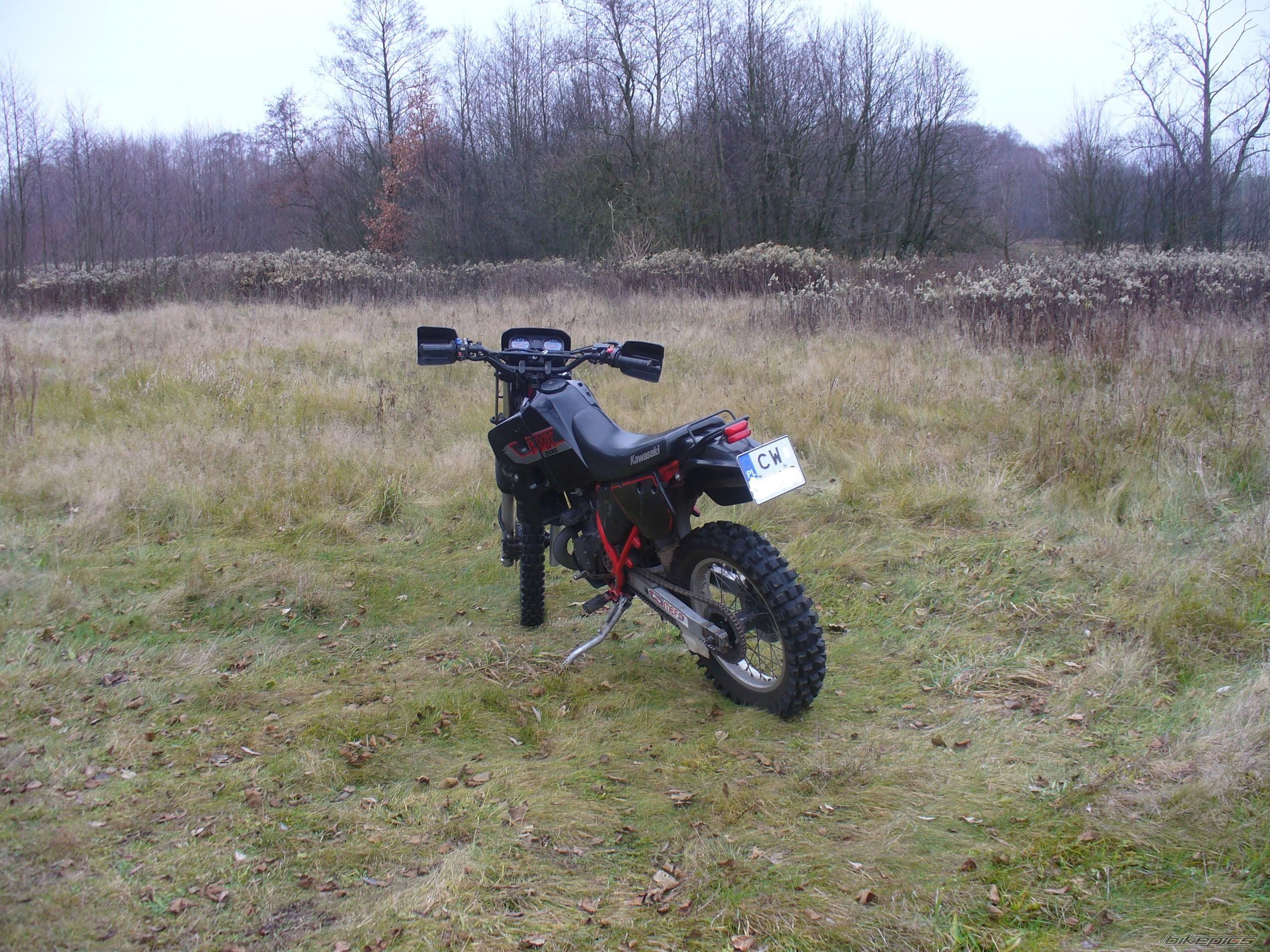 Photo 1097405