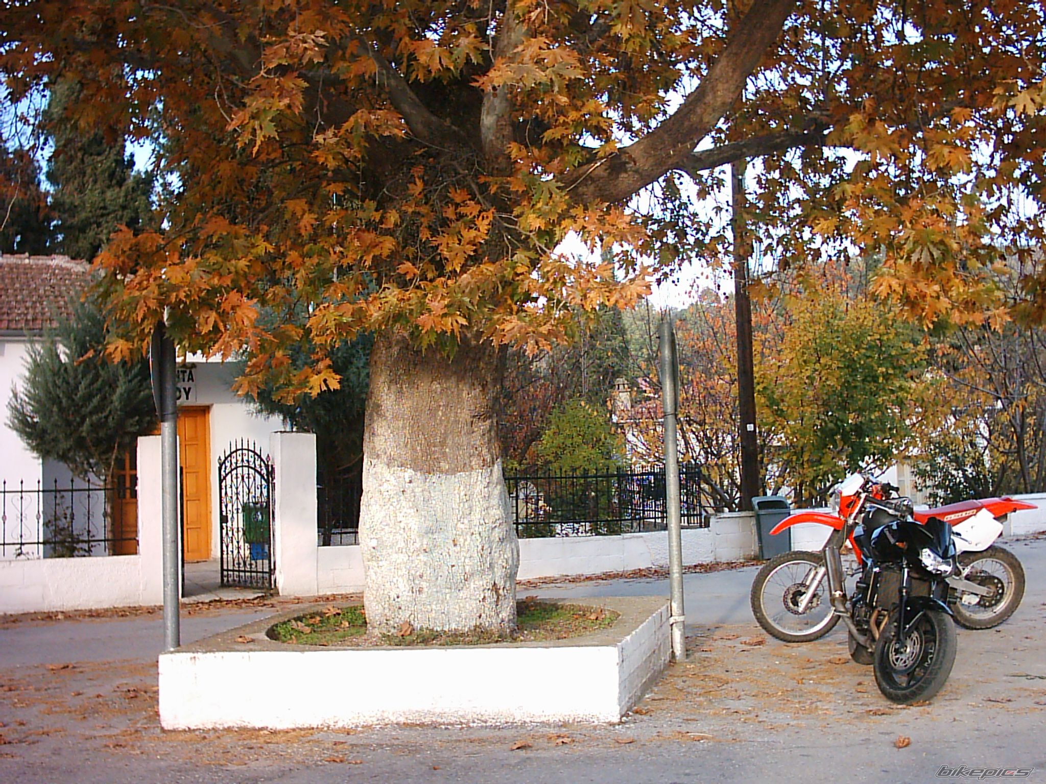 Bike Photo 1097674
