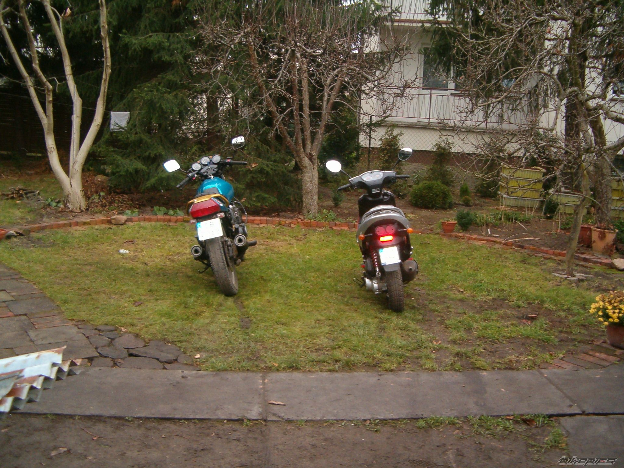 Photo 1097703
