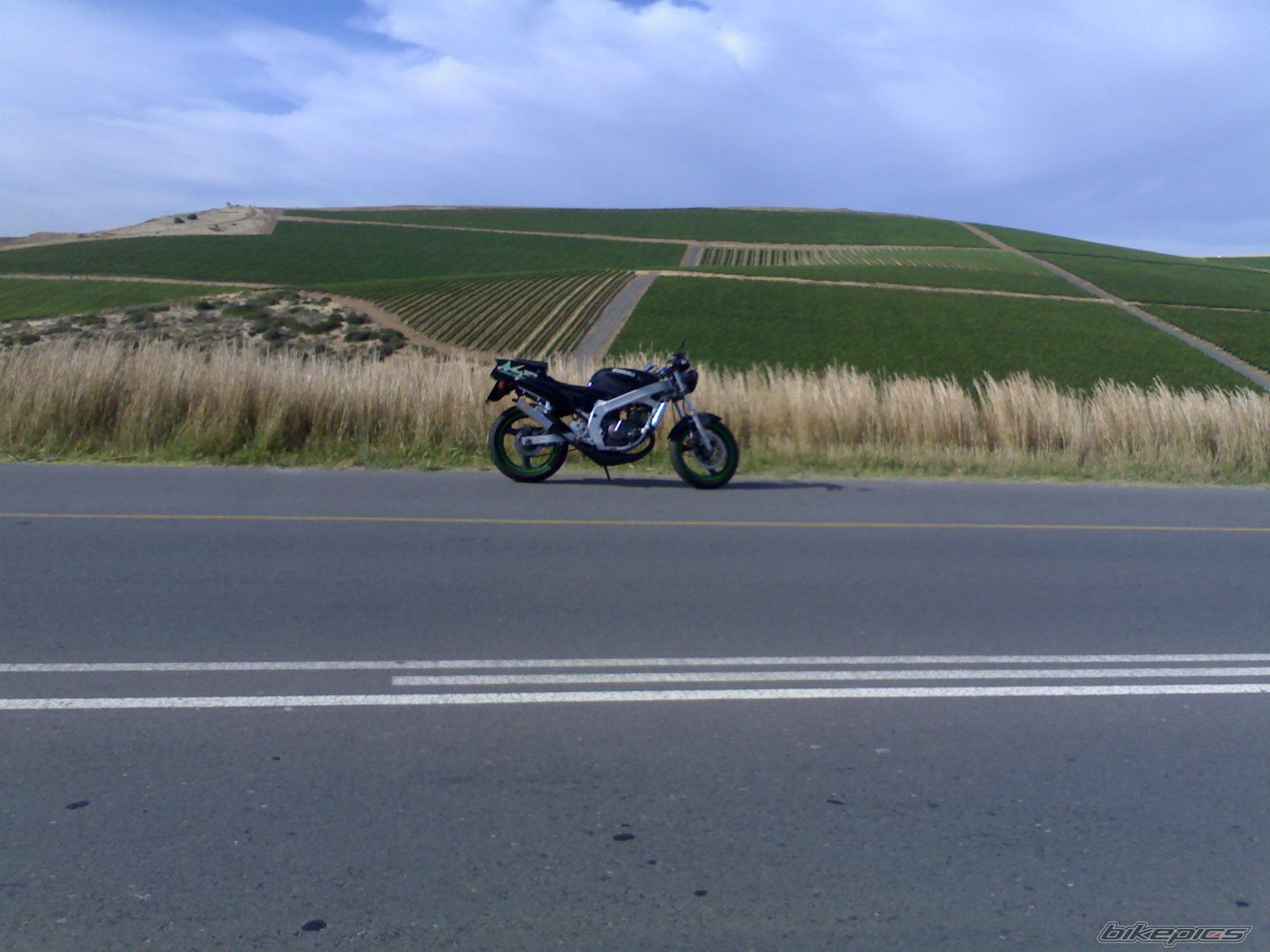 Photo 1097790