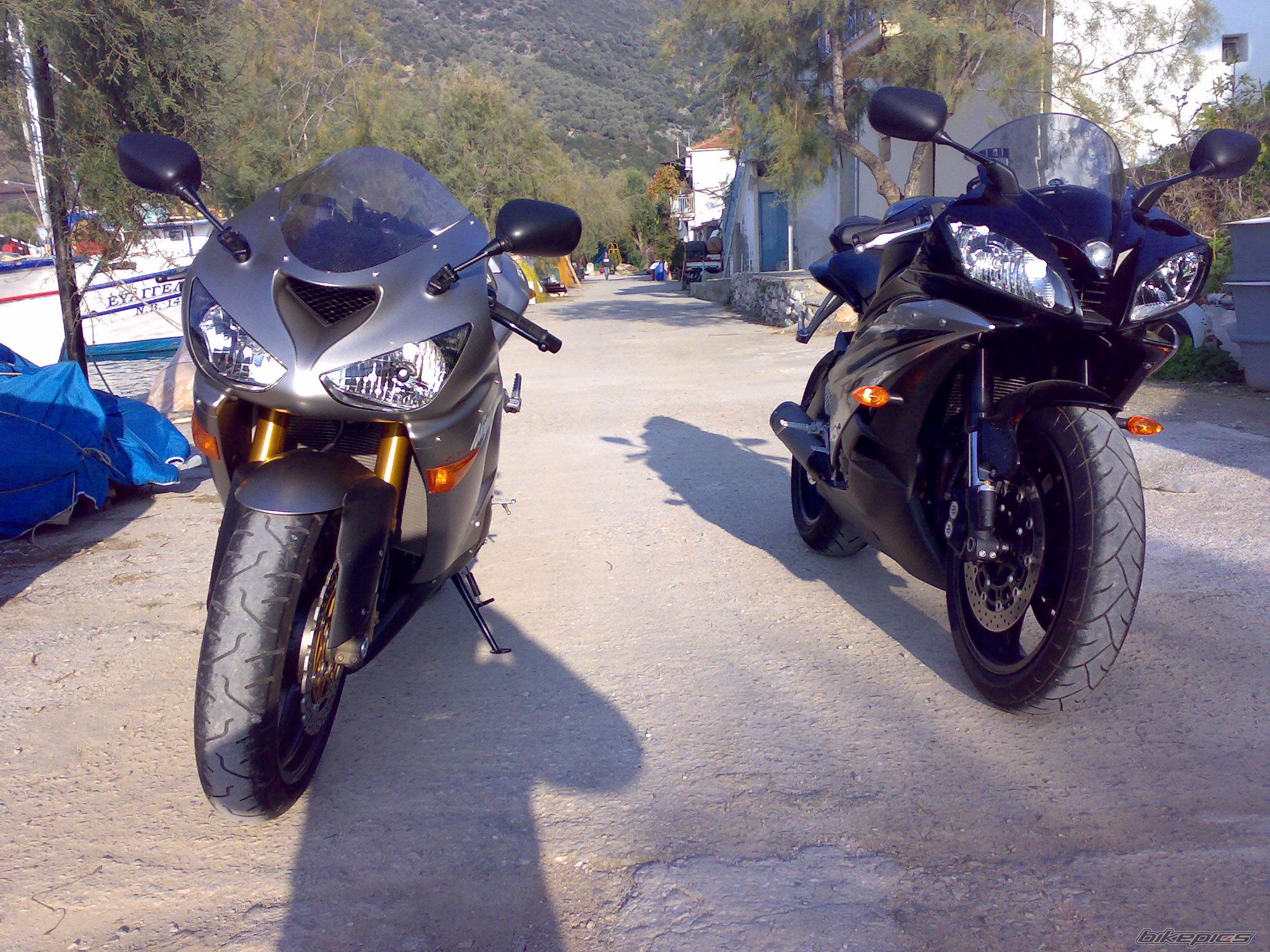 Photo 1097806