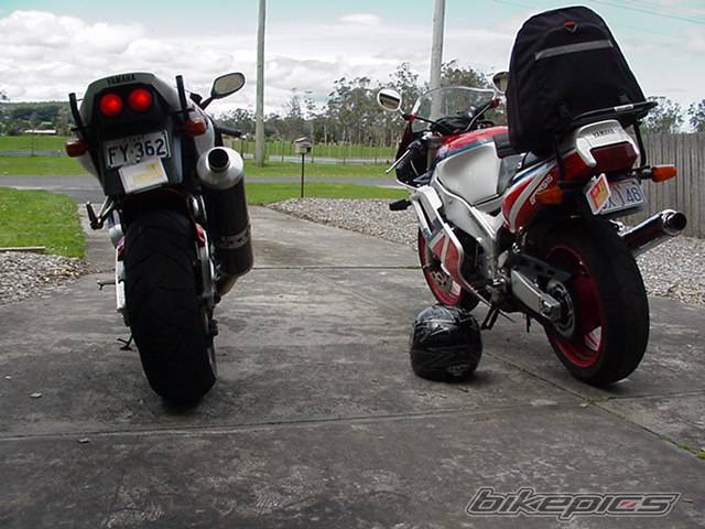 Photo 10981