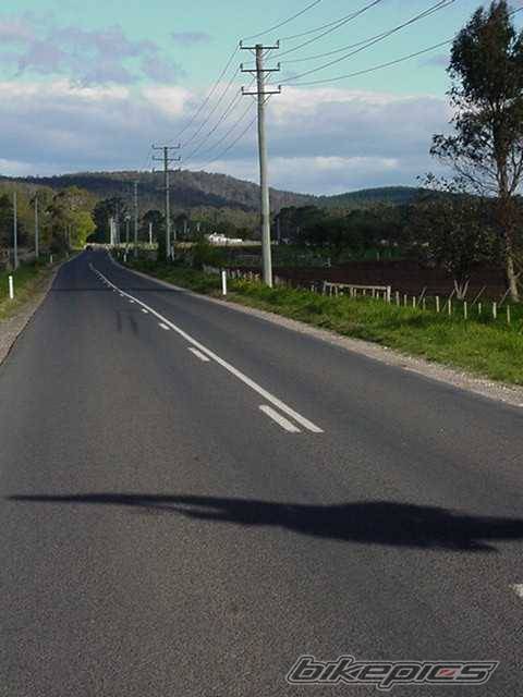 Photo 10982