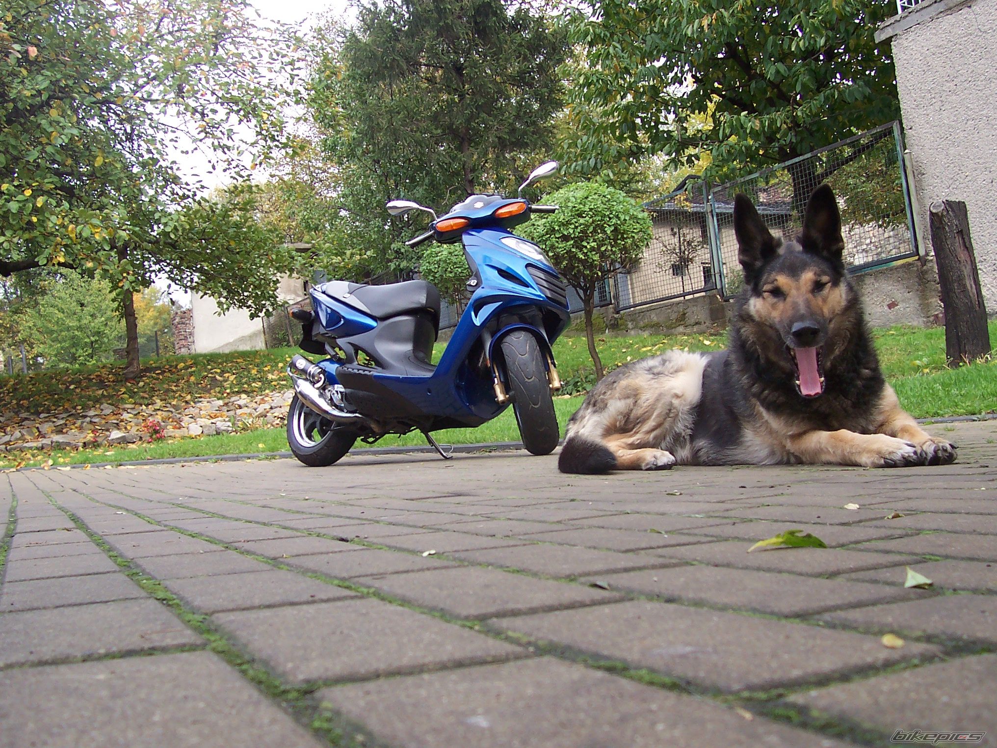 Bike Photo 1098211