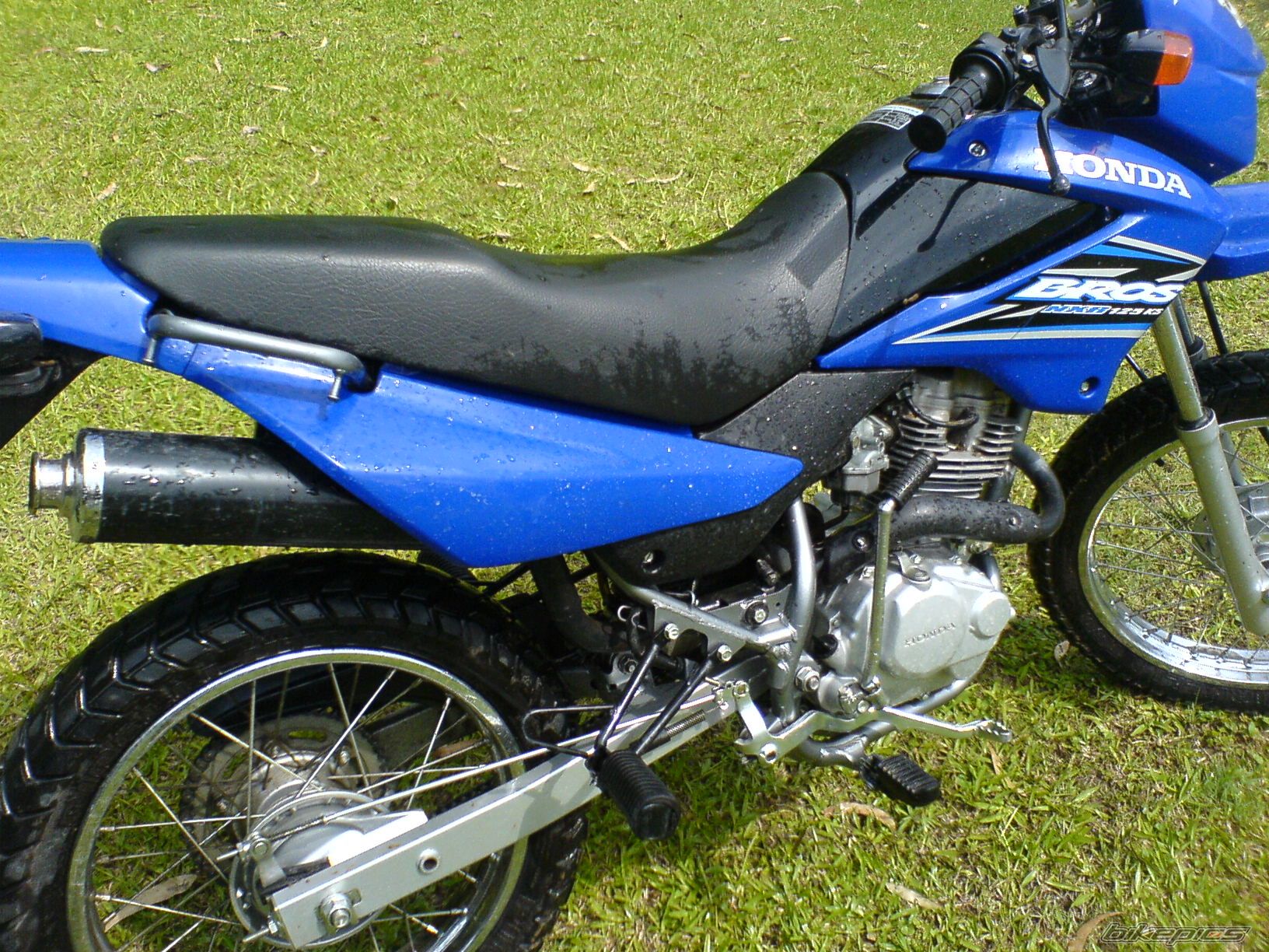 Photo 1098262