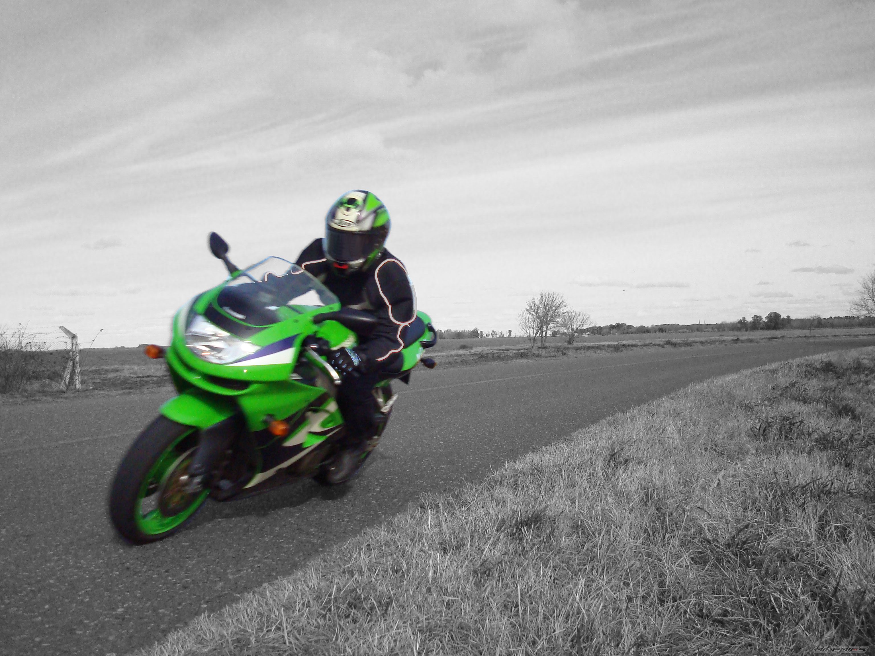 Photo 1098264