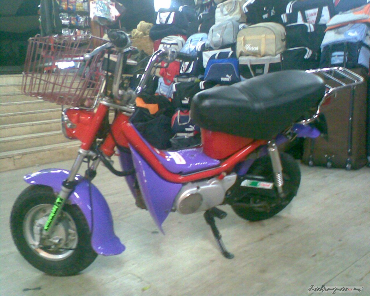 Photo 1098333