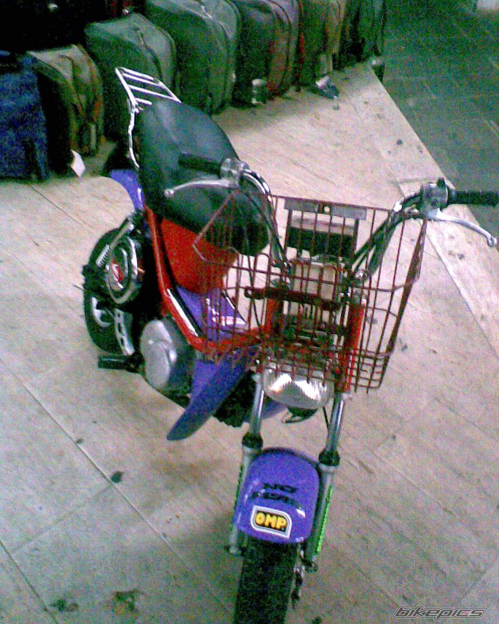 Photo 1098339