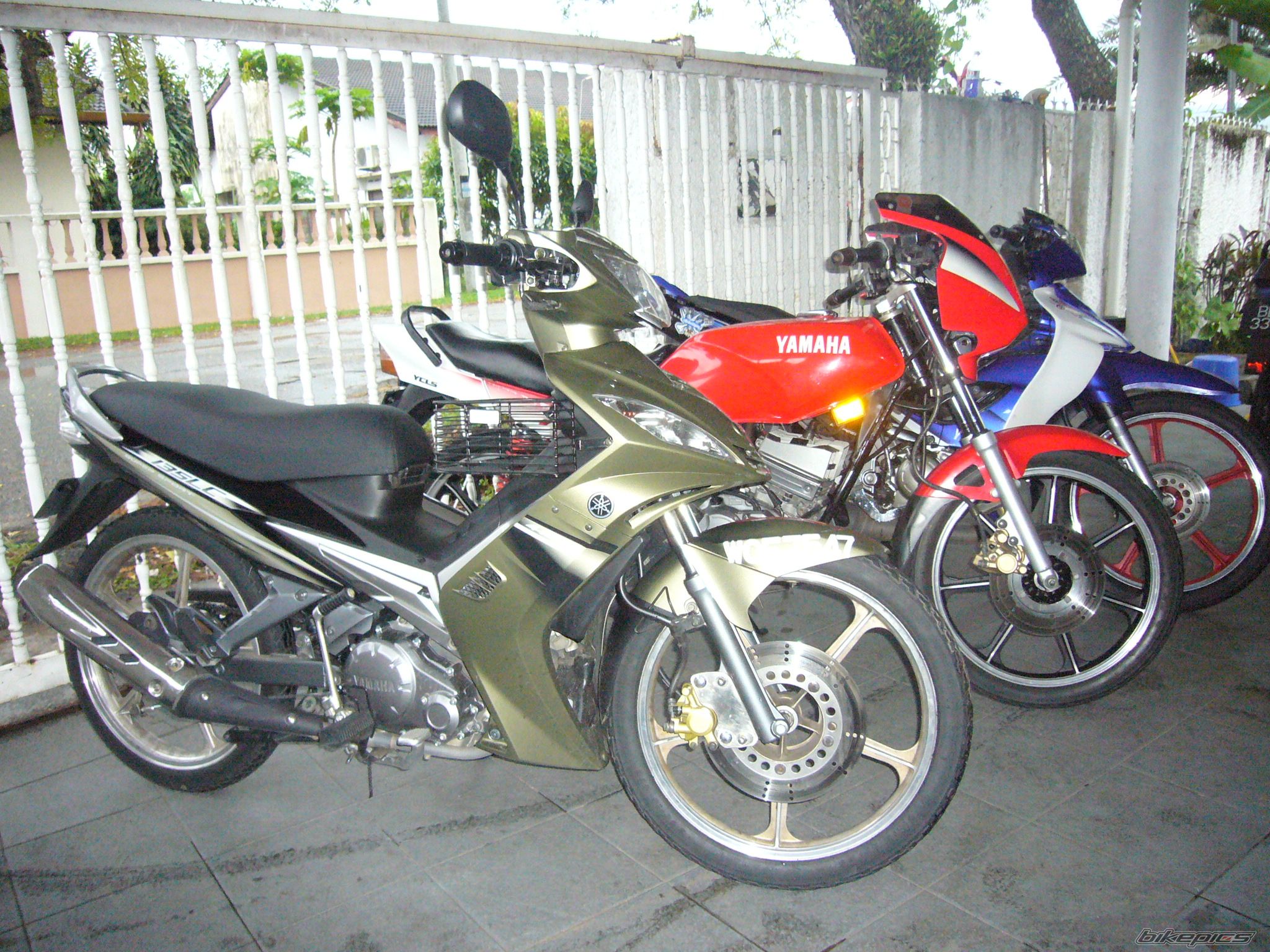 Photo 1098419