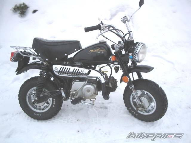 Photo 109842