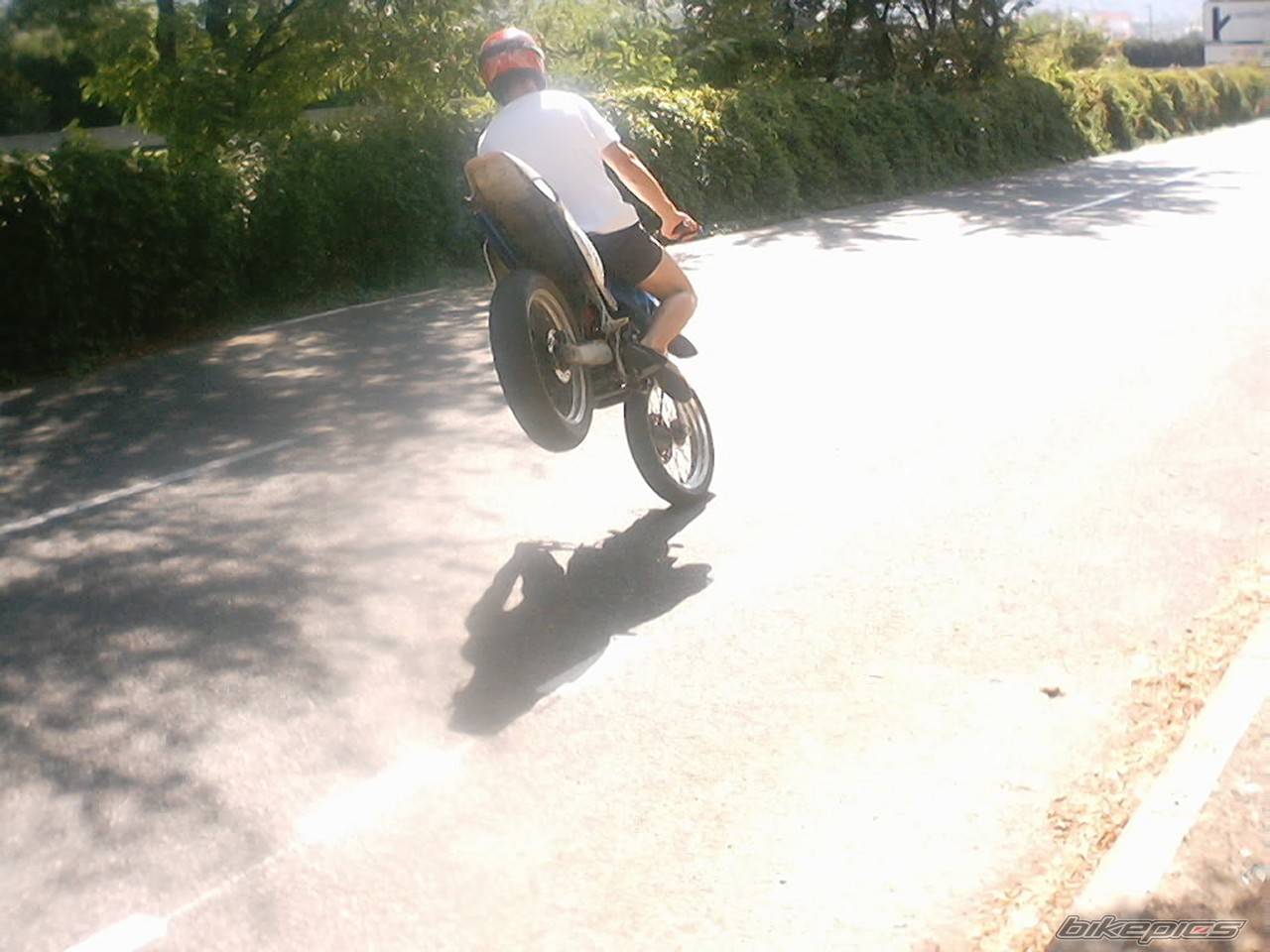 Bike Photo 109876
