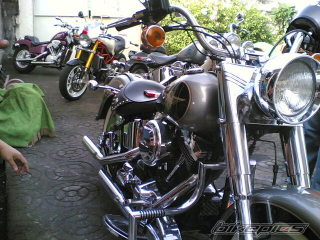 Bike Photo 1098873
