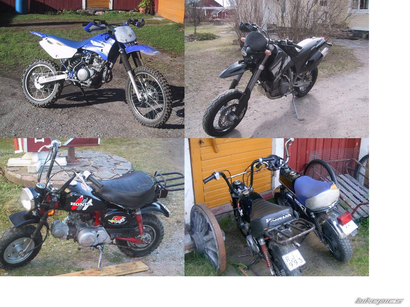 Photo 1099021